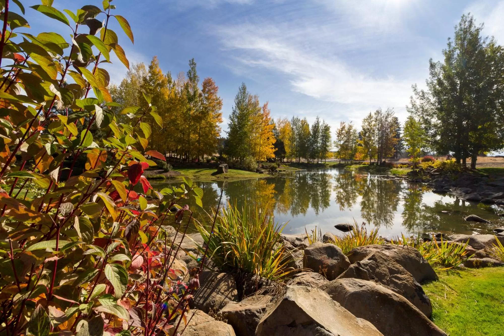 Natural landscape in Running Y Ranch Golf & Spa Resort