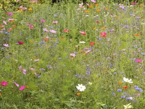 Property building in Chambres d'hôtes-Les Chambres de Mado