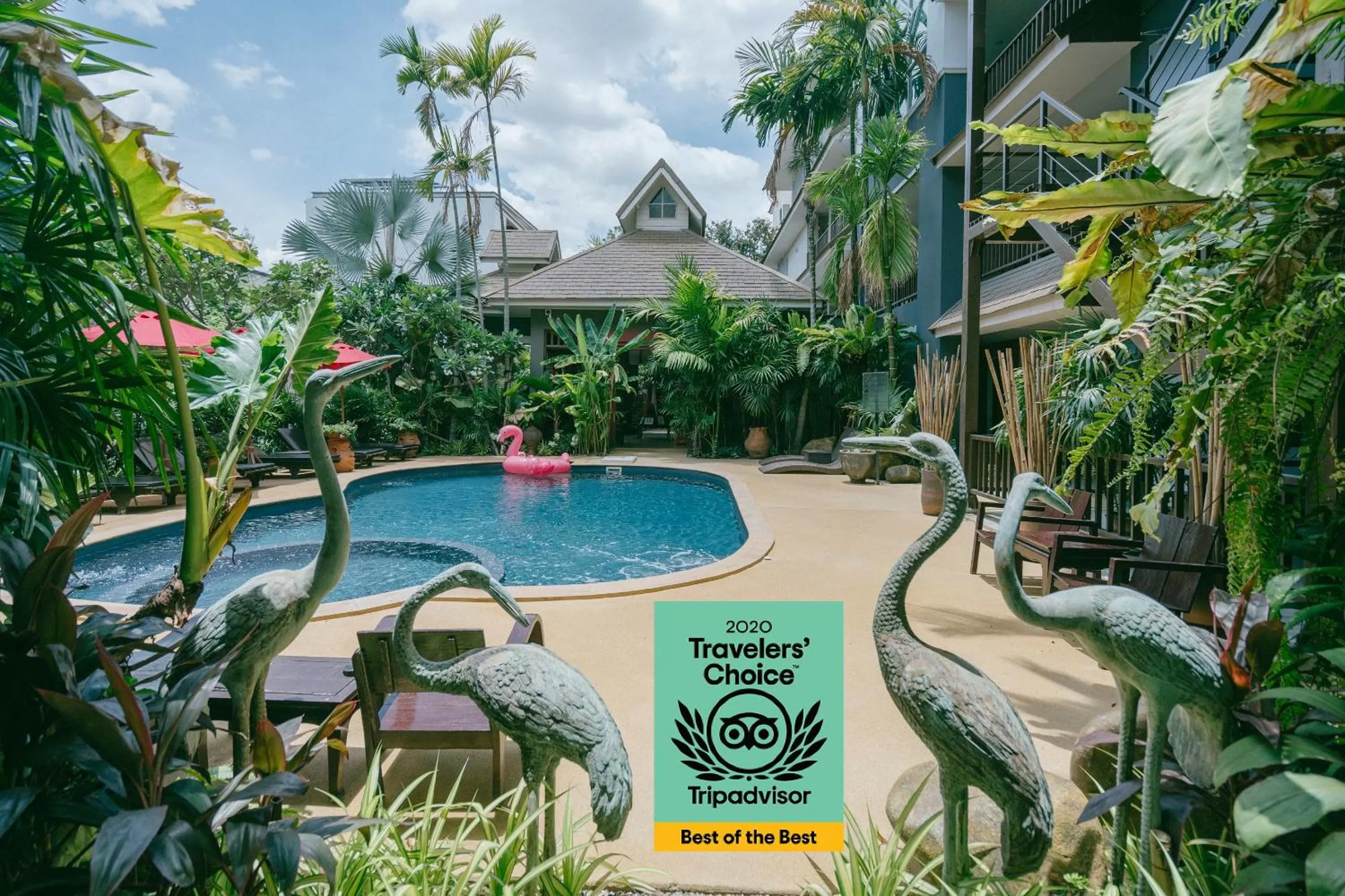 Pool view in The Opium Chiang Mai