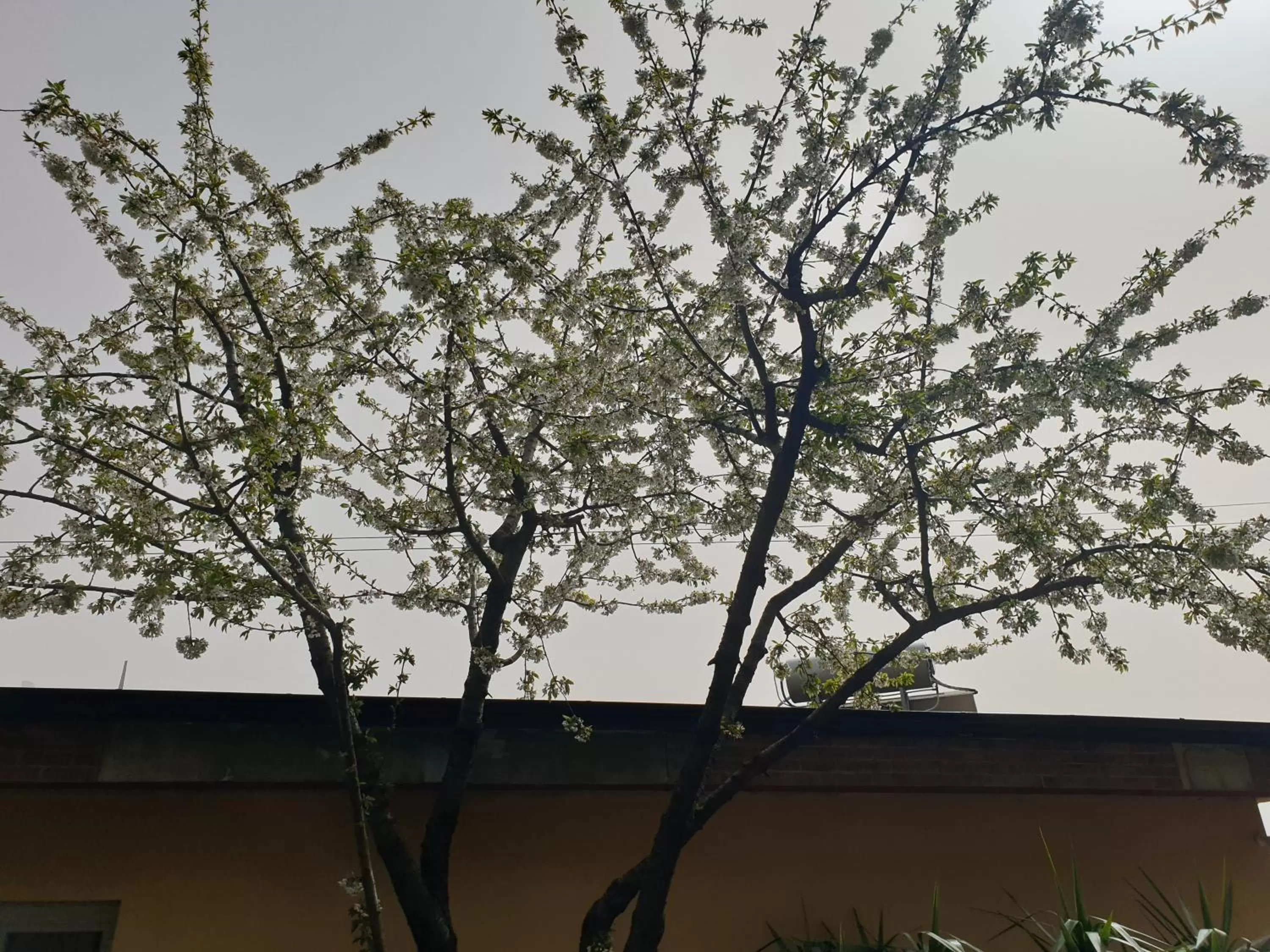 Property building in Oasi del benessere