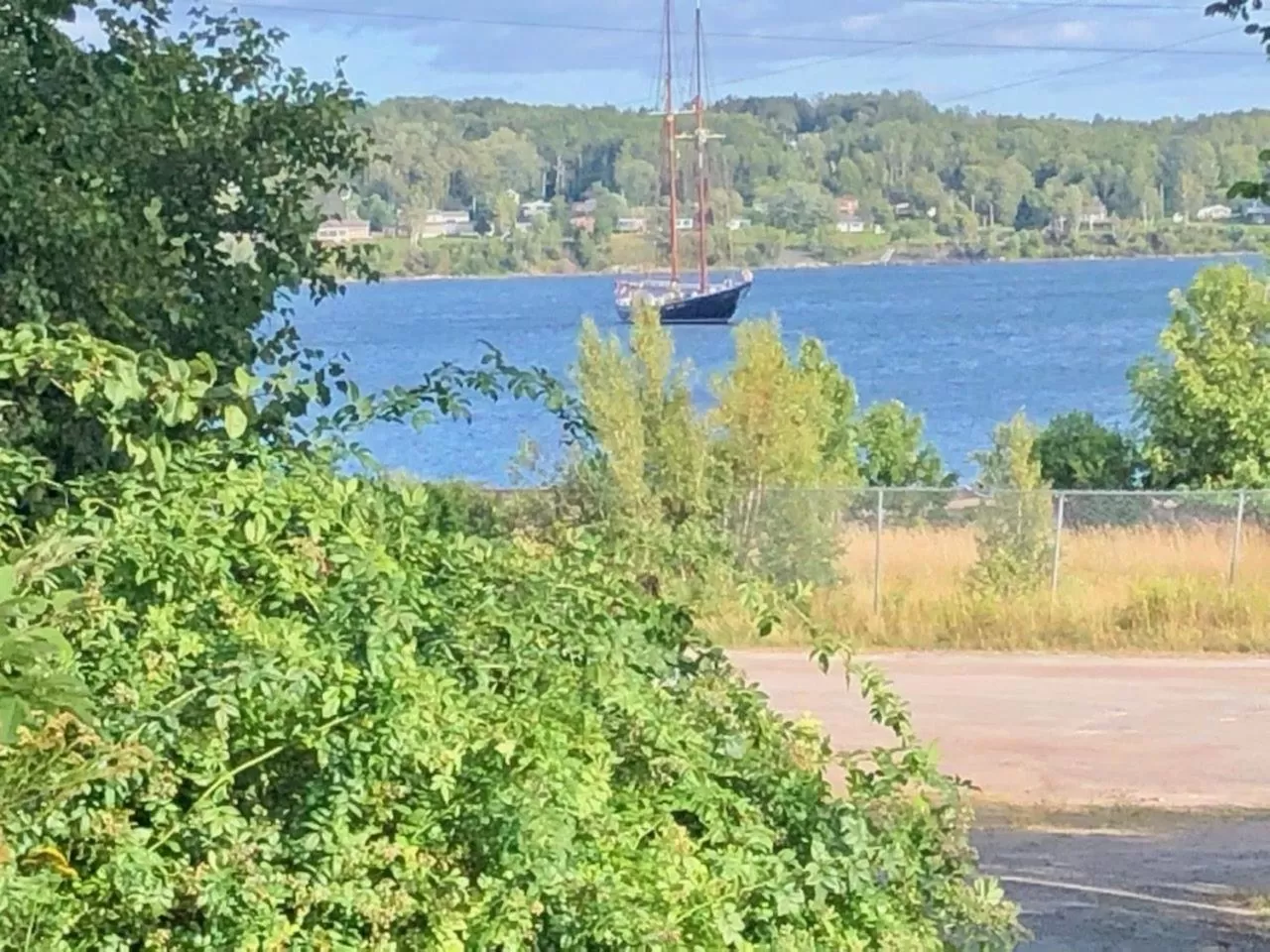 Neighbourhood in Seabank House Bed and Breakfast Ahoy