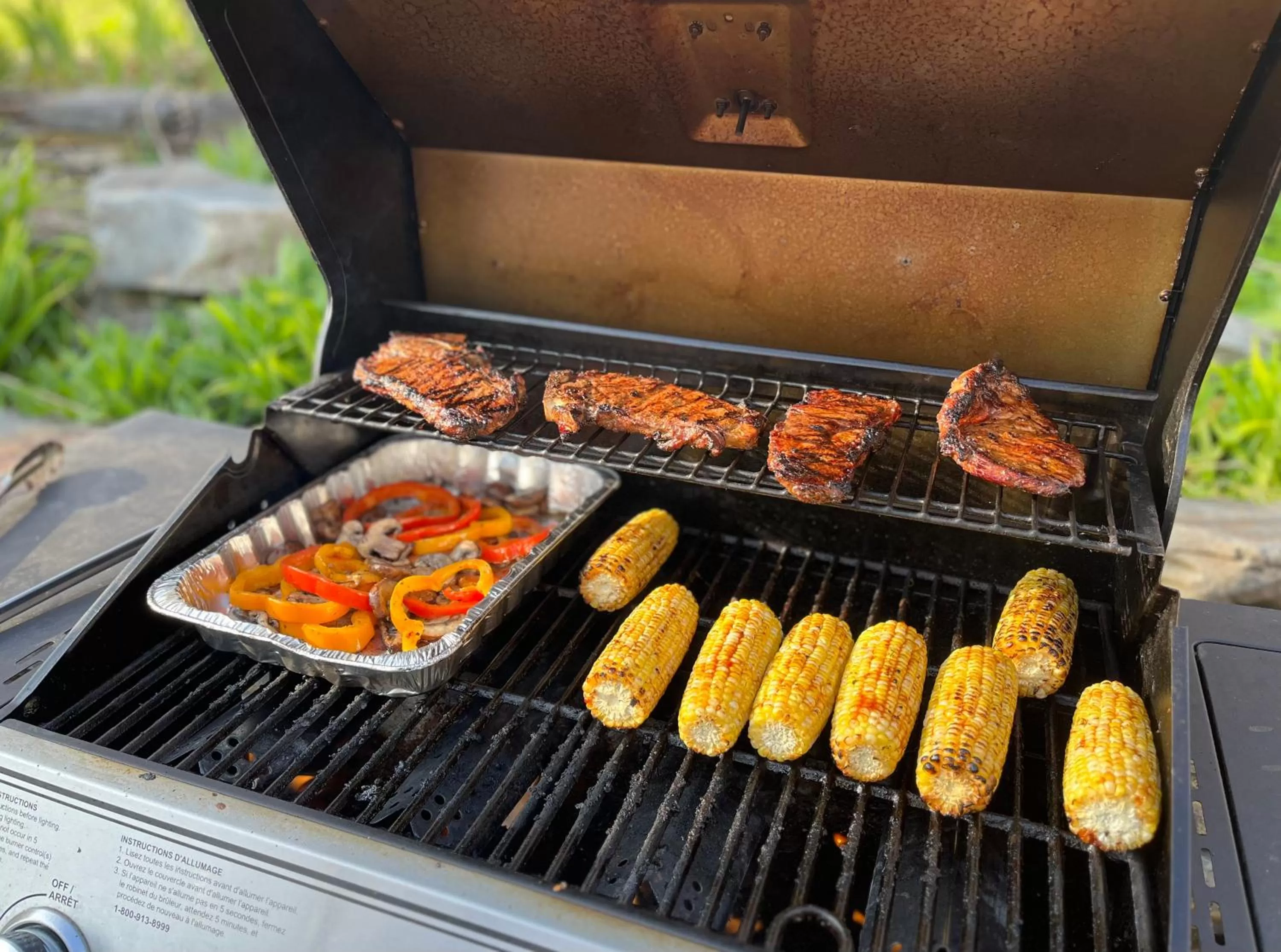 BBQ facilities in Belle View Manor Inn