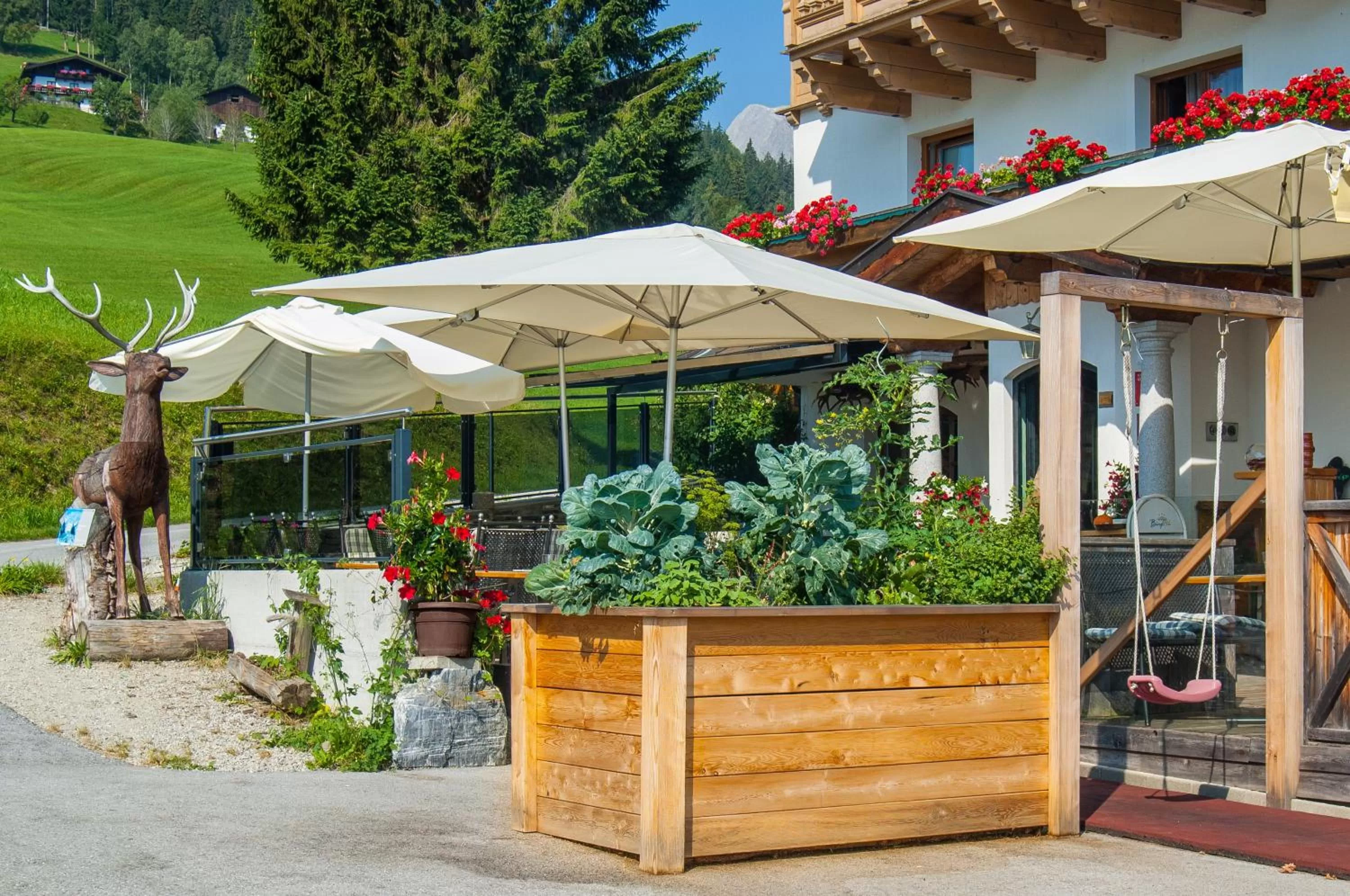 Summer in Hotel und Alpen Apartments - Bürglhöh