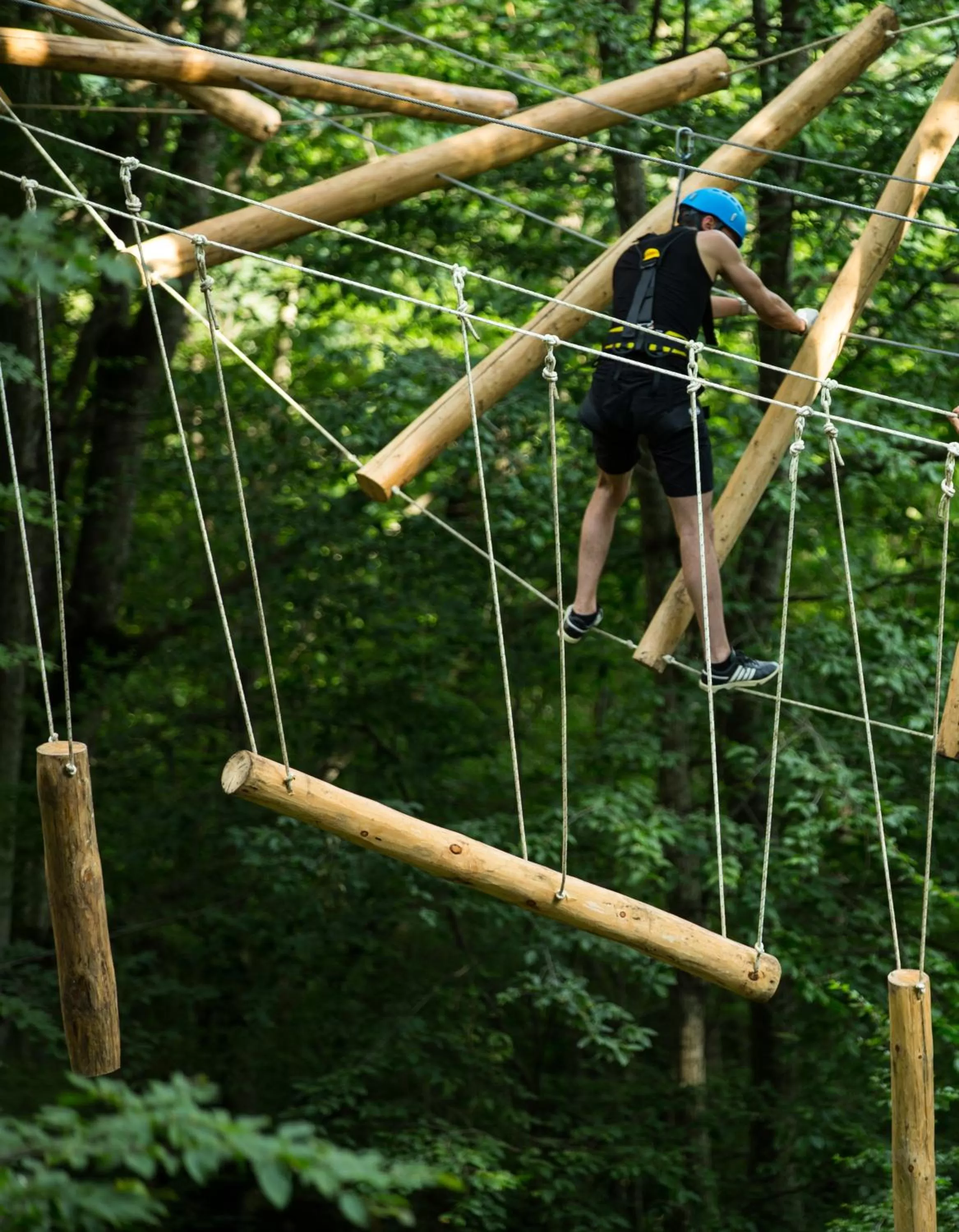 Activities, Other Animals in Apaga Resort