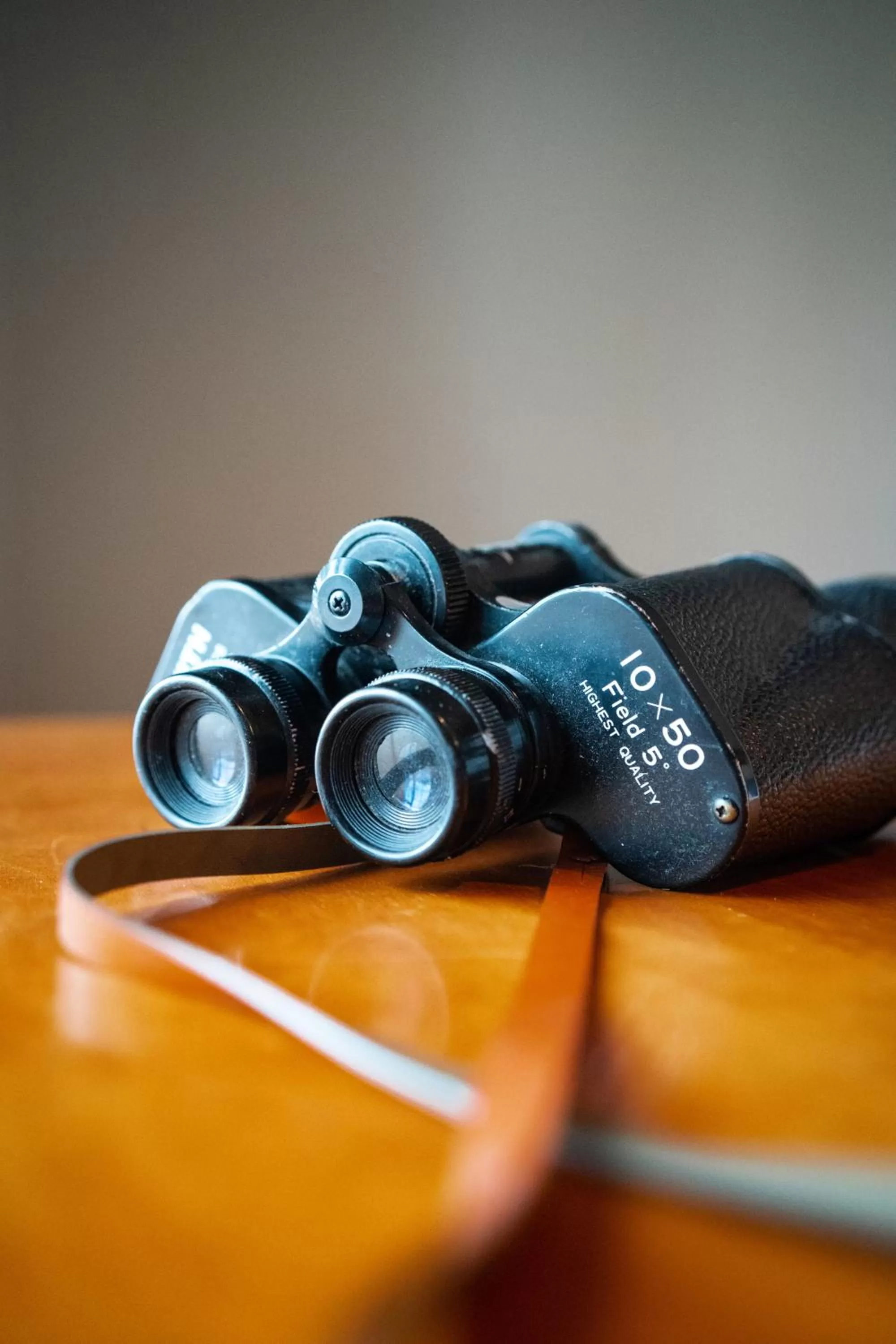 View (from property/room) in The Old Ferry Inn