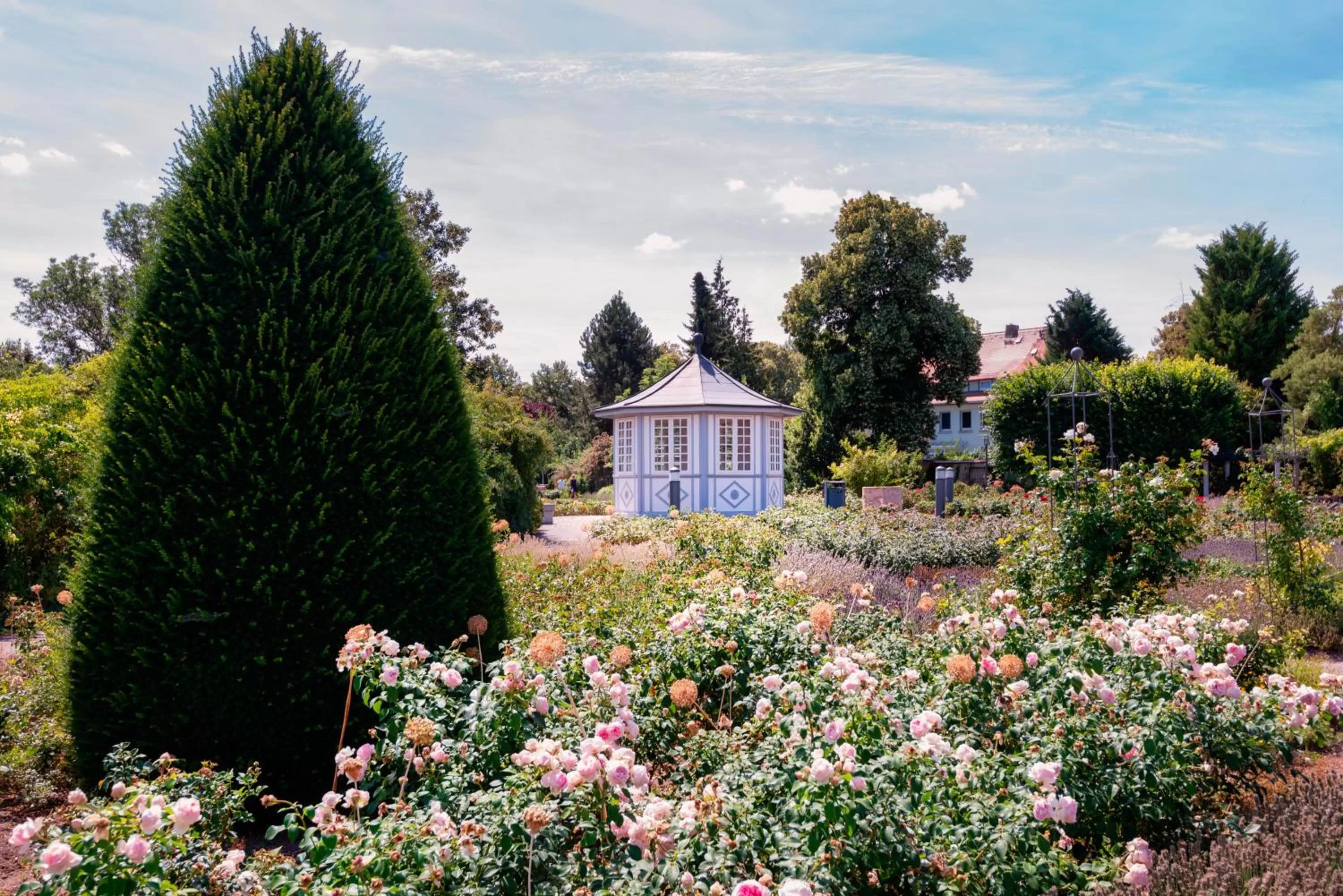 Garden in ALPHA HOTEL Hermann von Salza