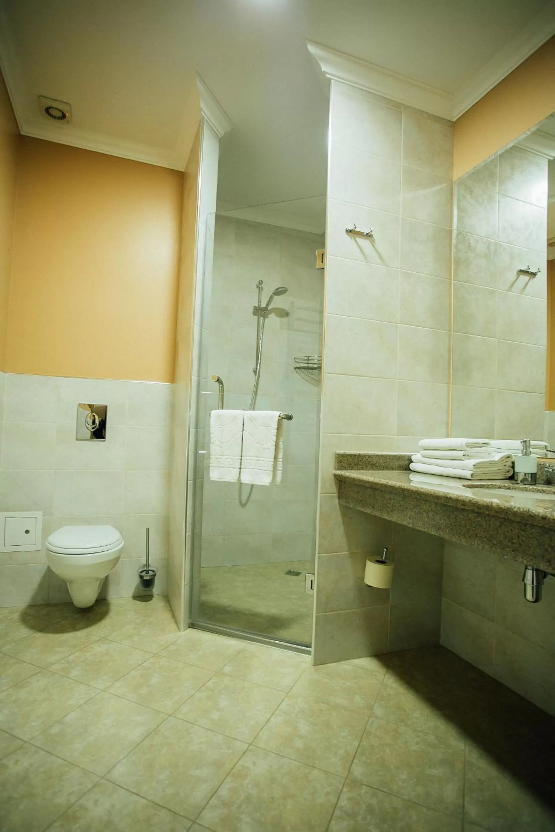 Shower, Bathroom in Hotel Aner