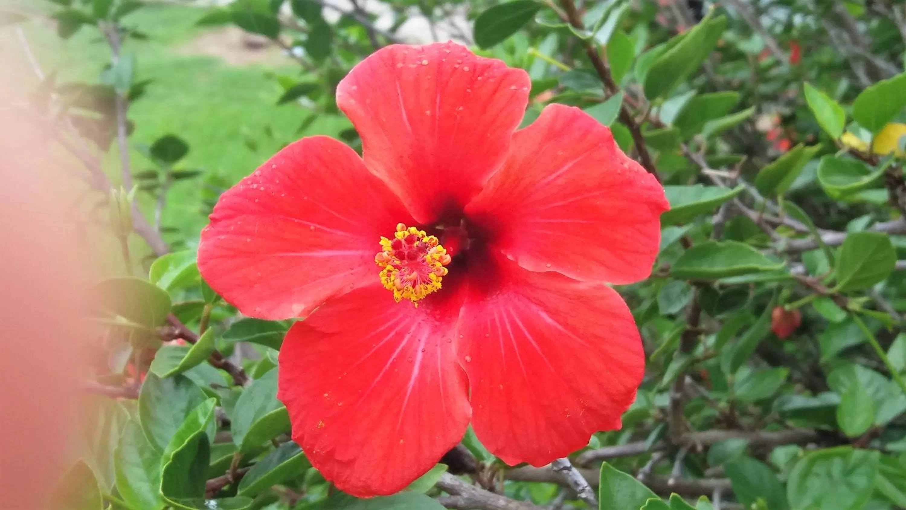 Natural landscape in Estancia Renacimiento