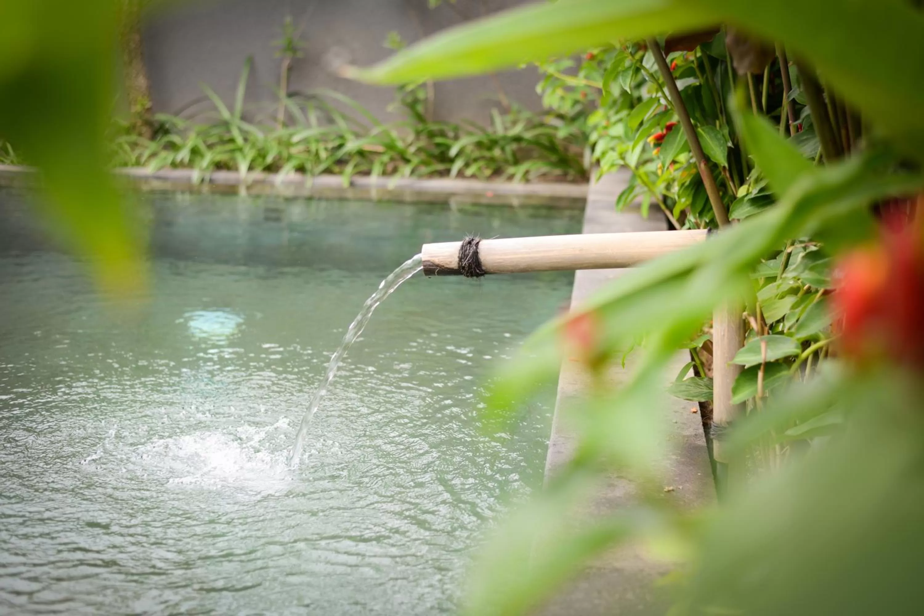 Swimming pool in Purana Boutique Resort