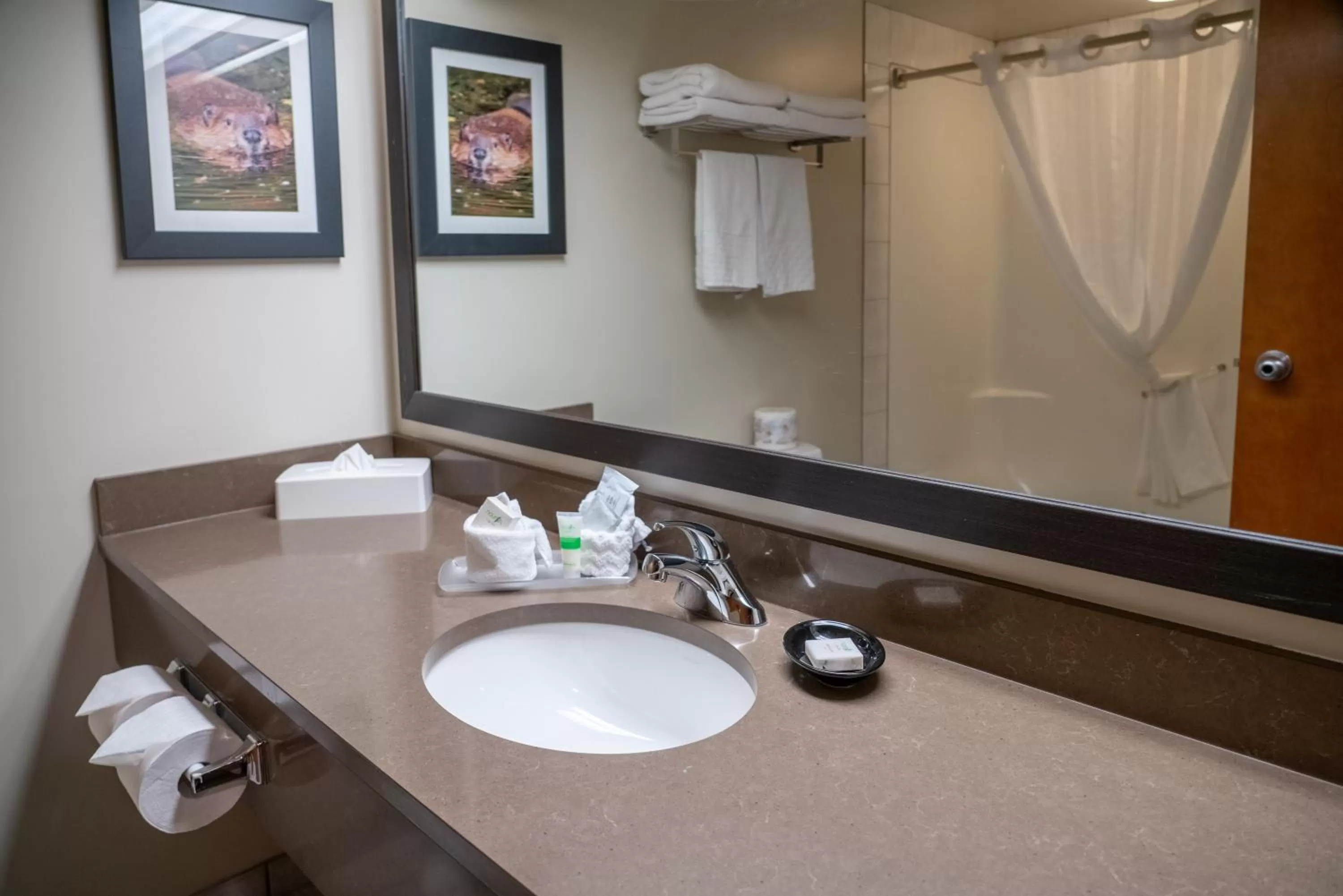 Bathroom in Pocaterra Inn & Waterslide