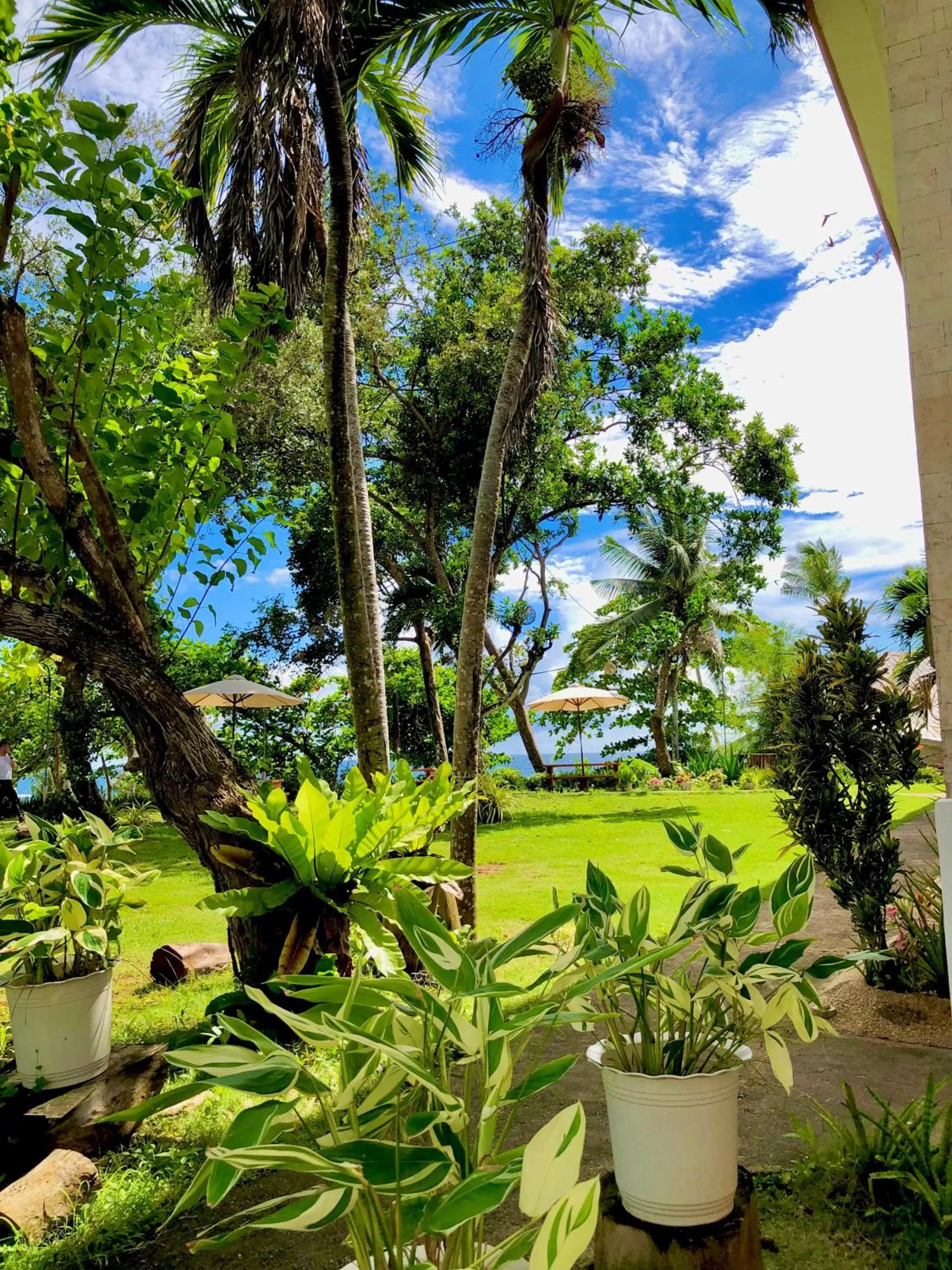 Natural landscape in La Sirenita