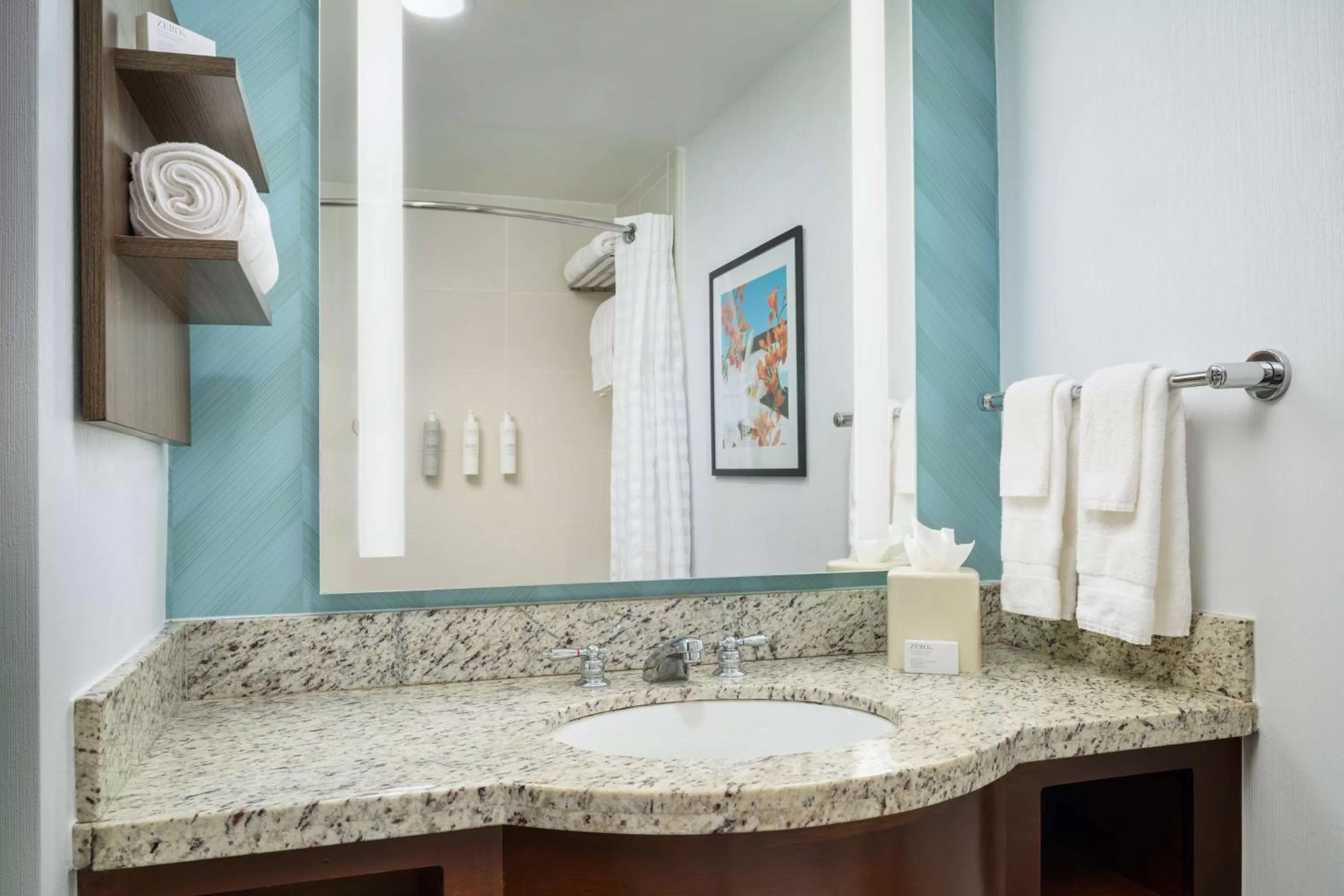 Toilet in Hilton Garden Inn Atlanta Midtown