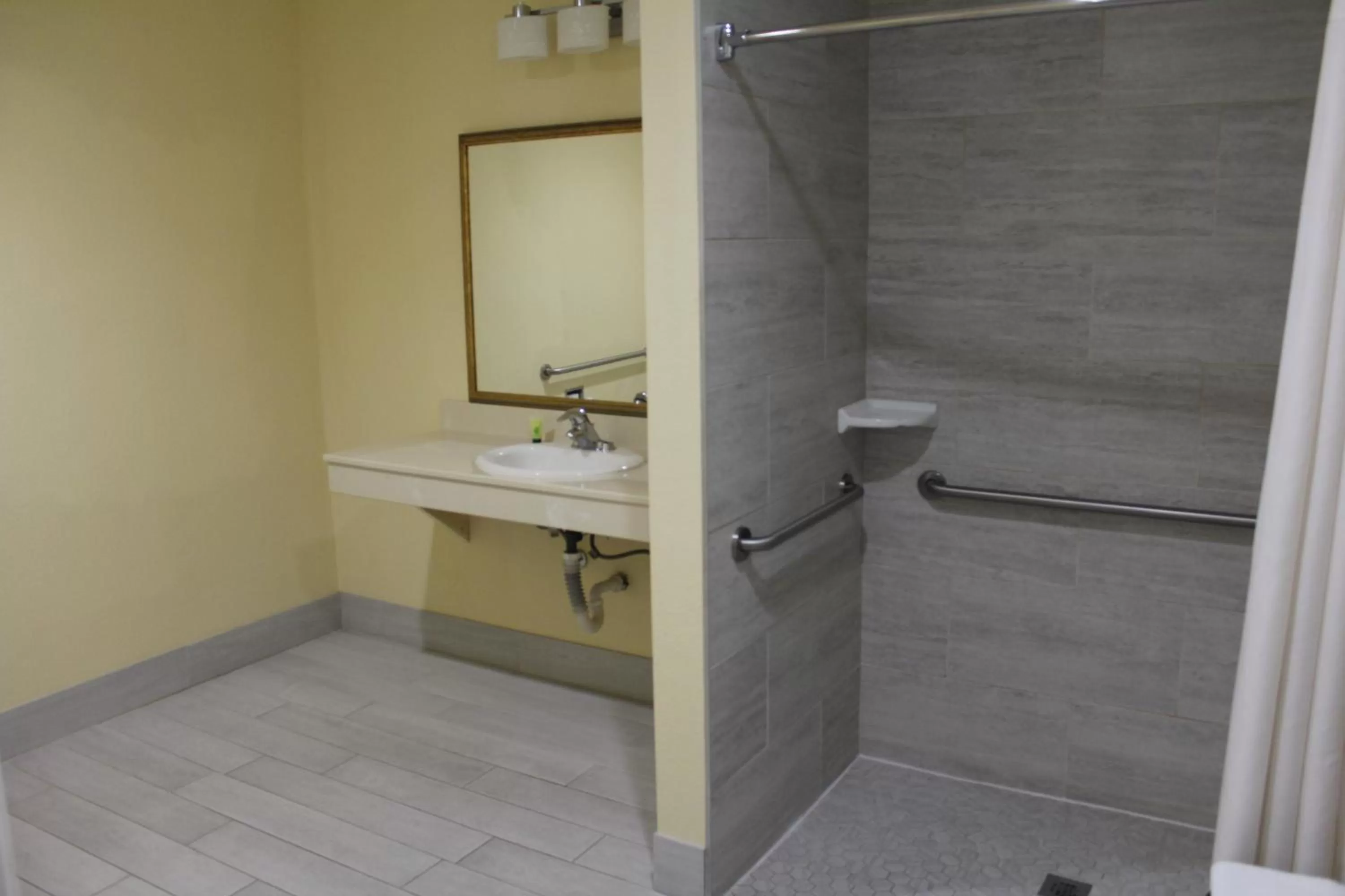 Bathroom in Rodeway Inn Medford South I-5