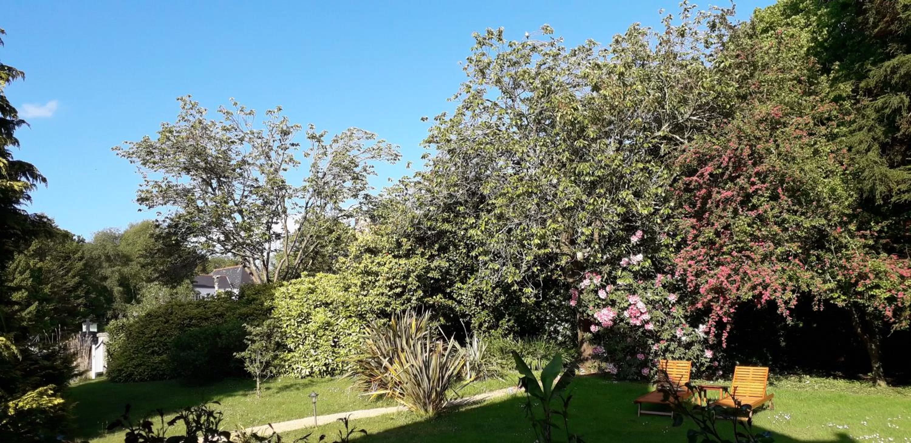 Spring in KerBlondel