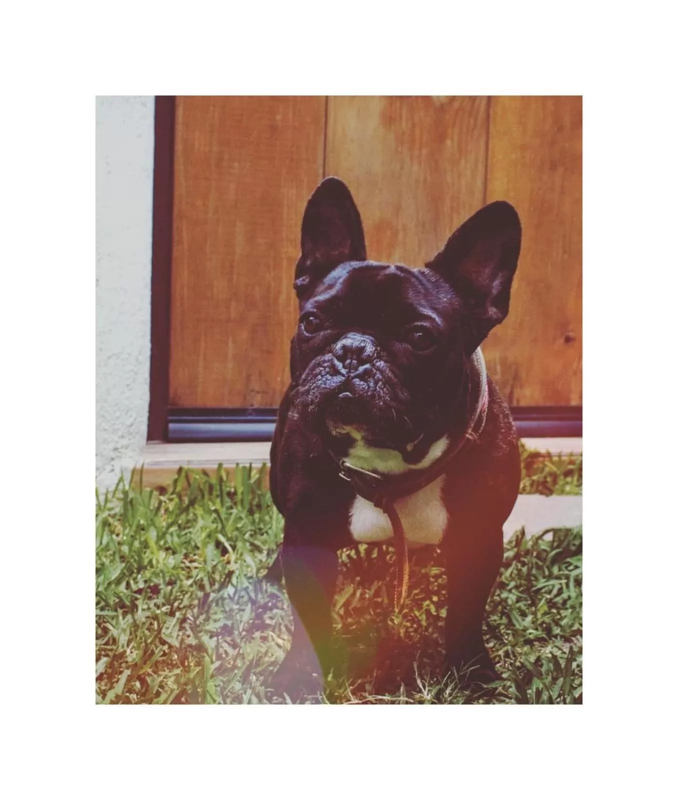 Property building, Pets in Hostal Hoja Santa