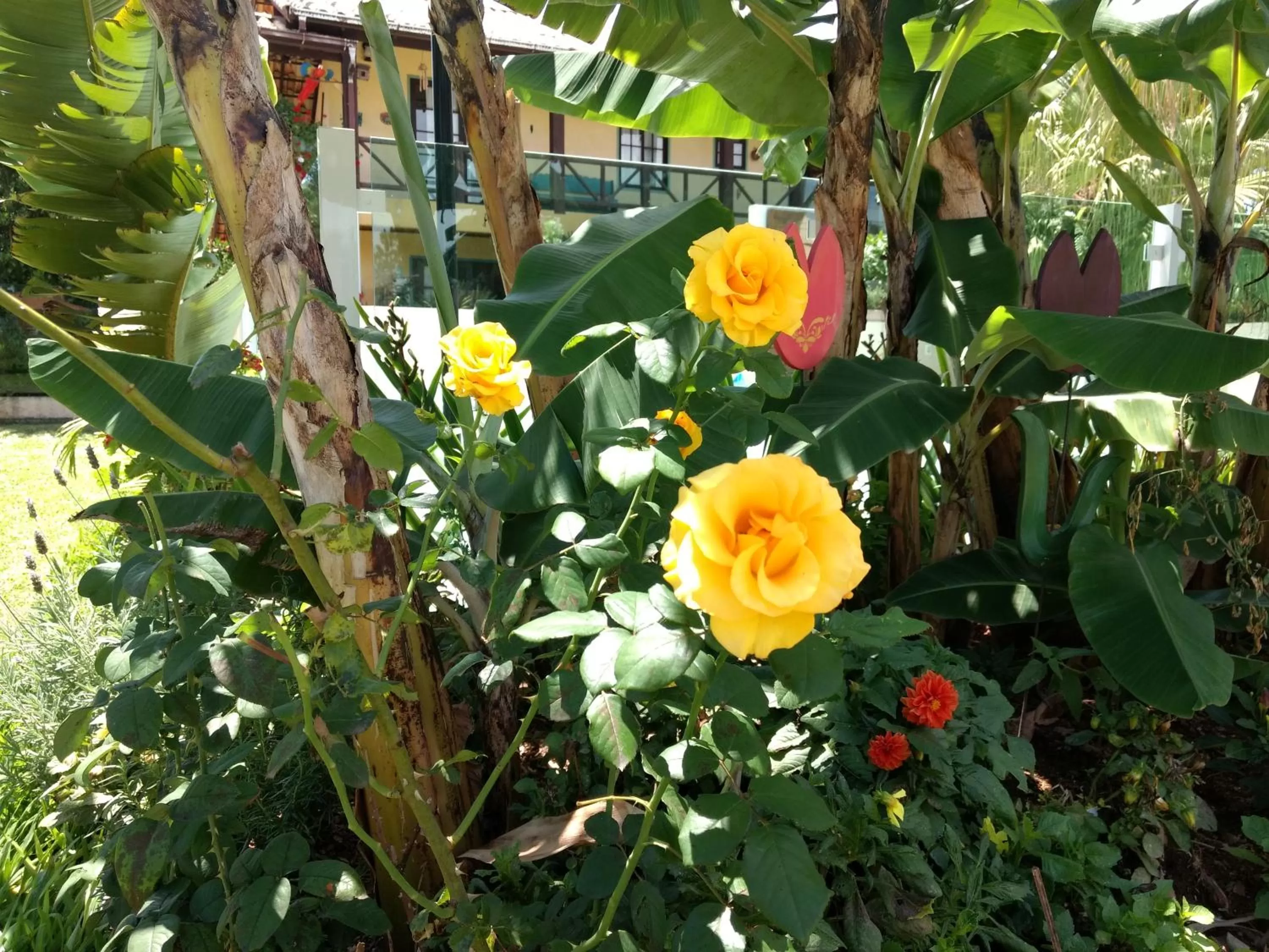 Garden in Pousada Santa Genoveva campeche