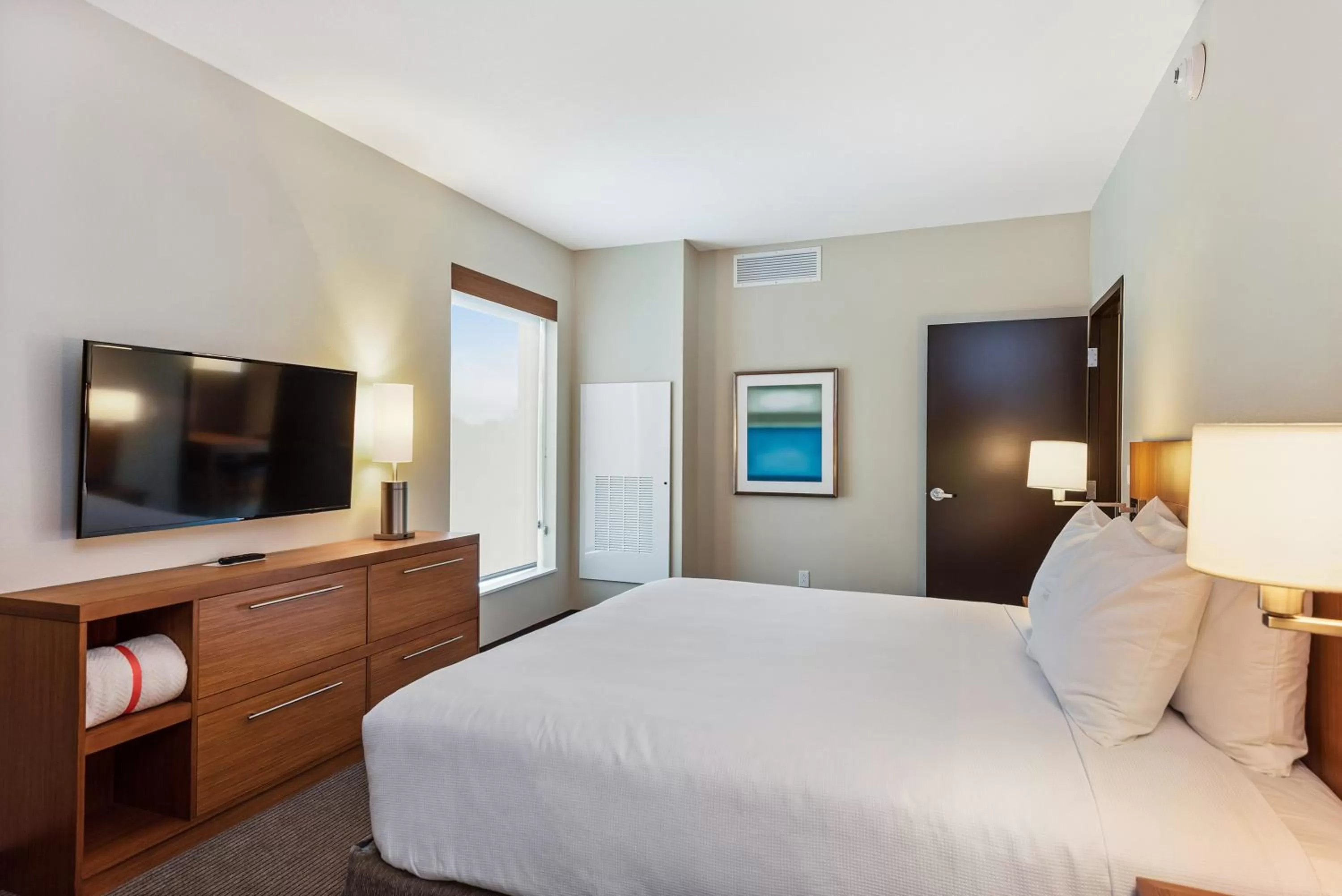 Photo of the whole room, Bed in Hyatt Place Tampa/Wesley Chapel