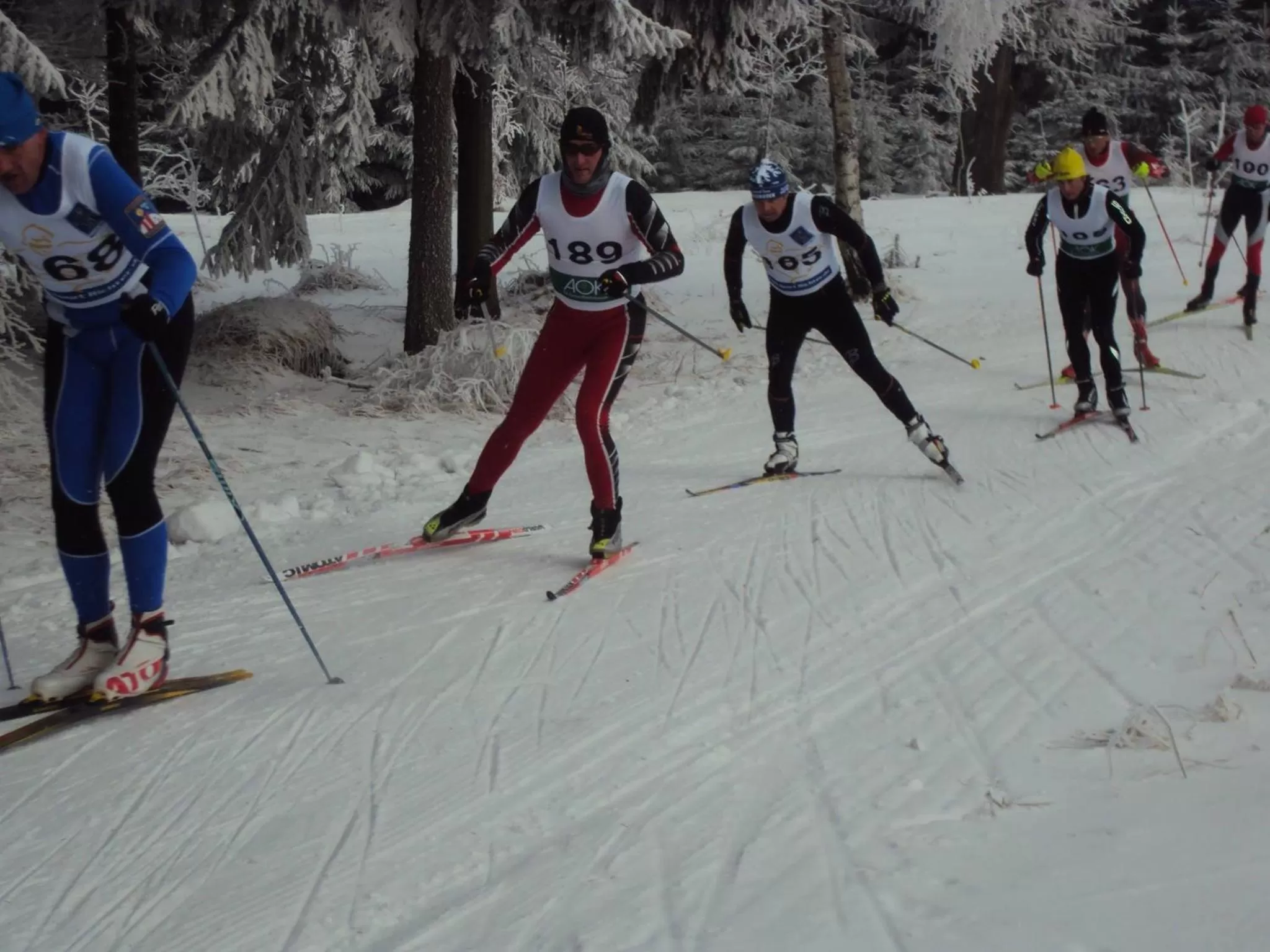 Skiing, Winter in Waldgasthof Bad Einsiedel