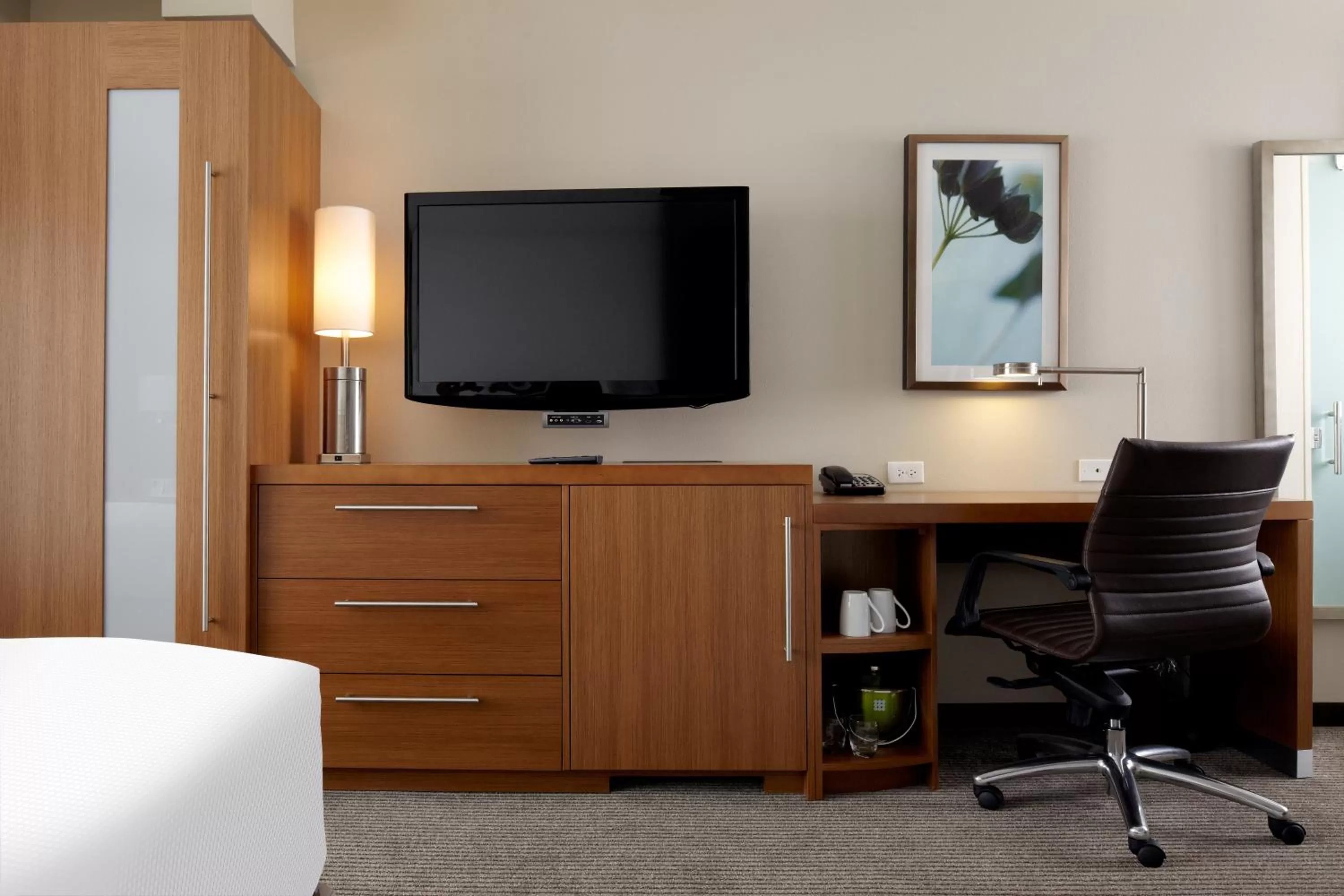 TV and multimedia, Bed in Hyatt Place Lincoln/Downtown-Haymarket