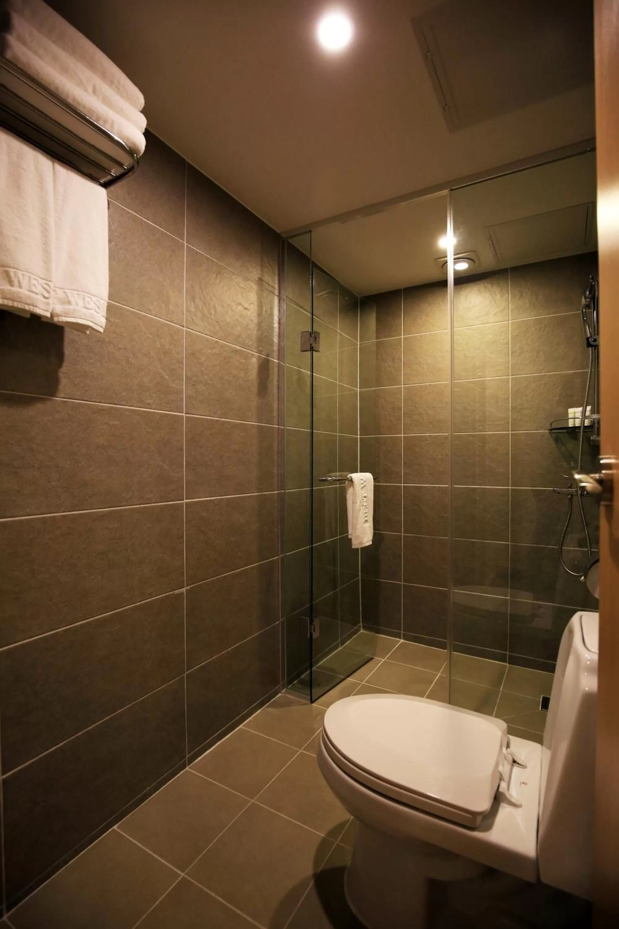 Shower in Best Western Jeju Hotel