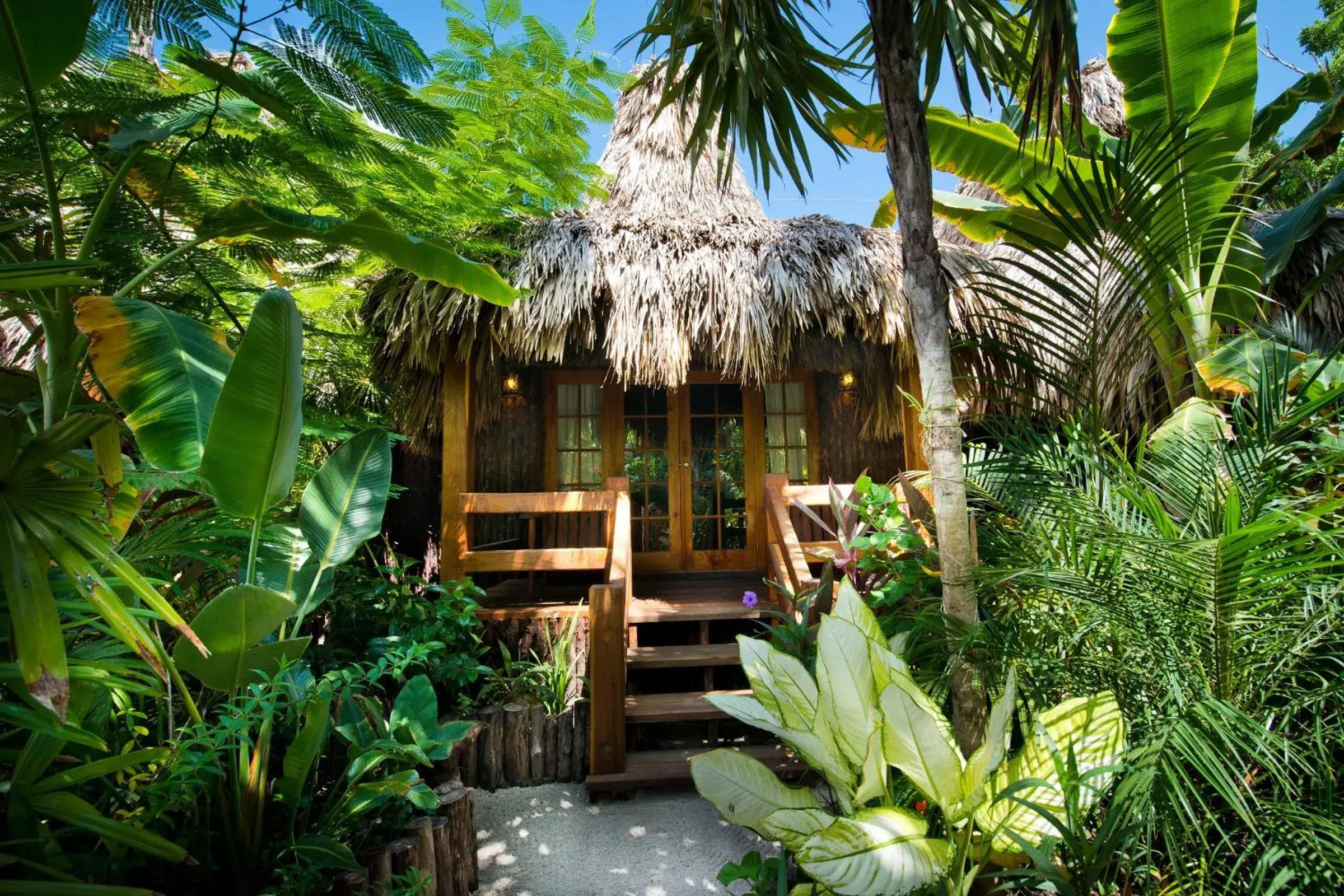 Jungle Deluxe King in Ramon's Village Resort Jungle Deluxe King in Ramon's Village Resort