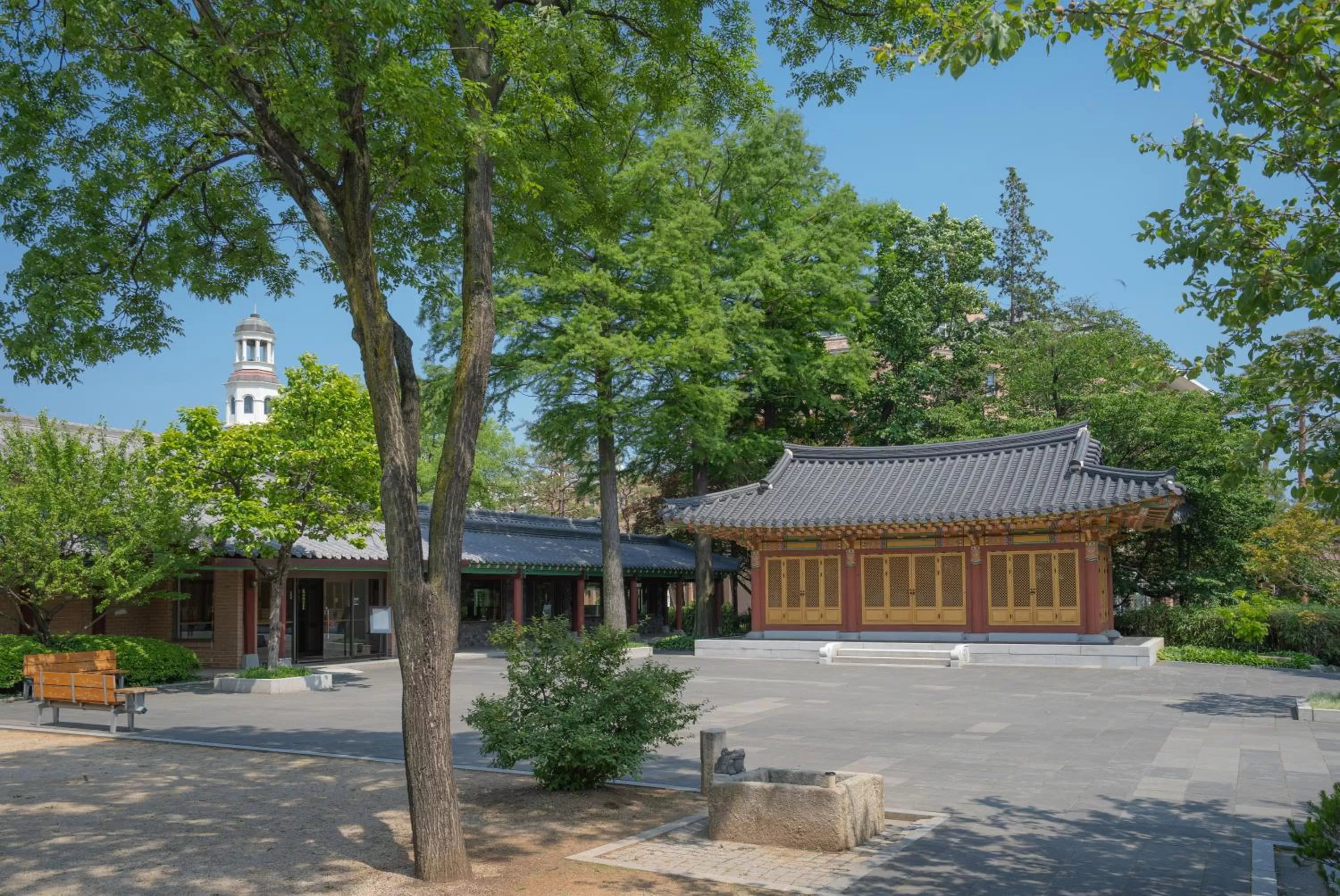 Restaurant/places to eat in Mayfield Hotel Seoul