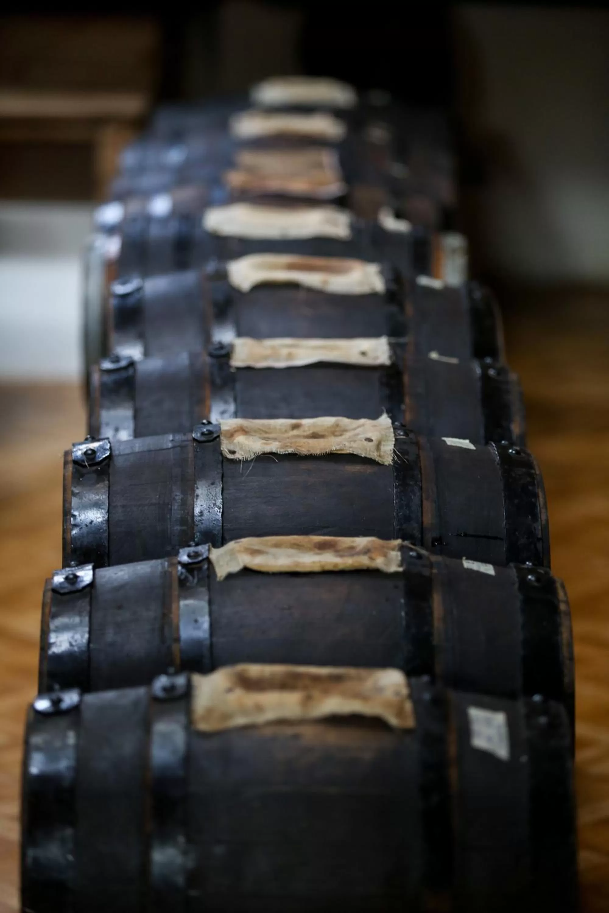 Activities in Le dimore de Il borgo del balsamico