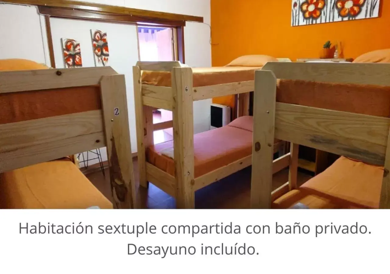 Single Bed in Mixed Dormitory Room in Bella Vista Hostel en el centro & cabañas en la montaña Single Bed in Mixed Dormitory Room in Bella Vista Hostel en el centro & cabañas en la montaña