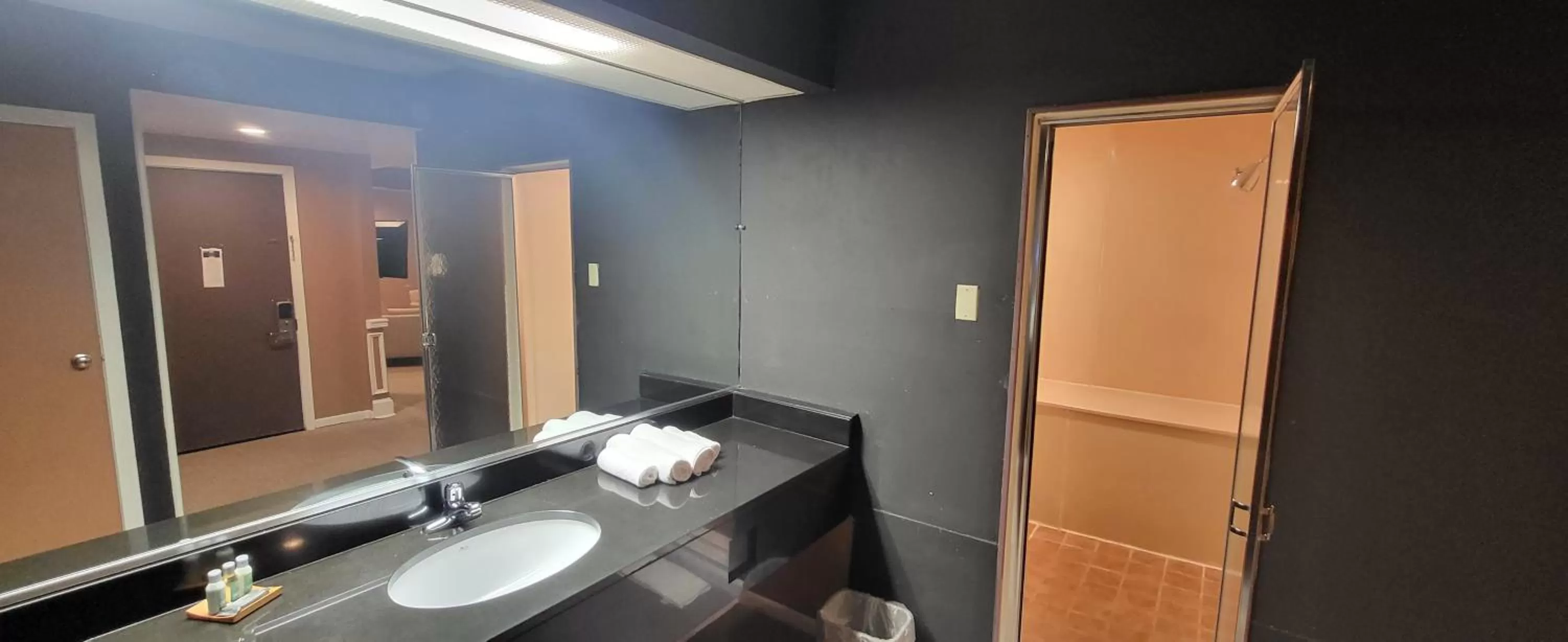 Bathroom in Inn of the Dove Harrisburg-Hershey Romantic Suites