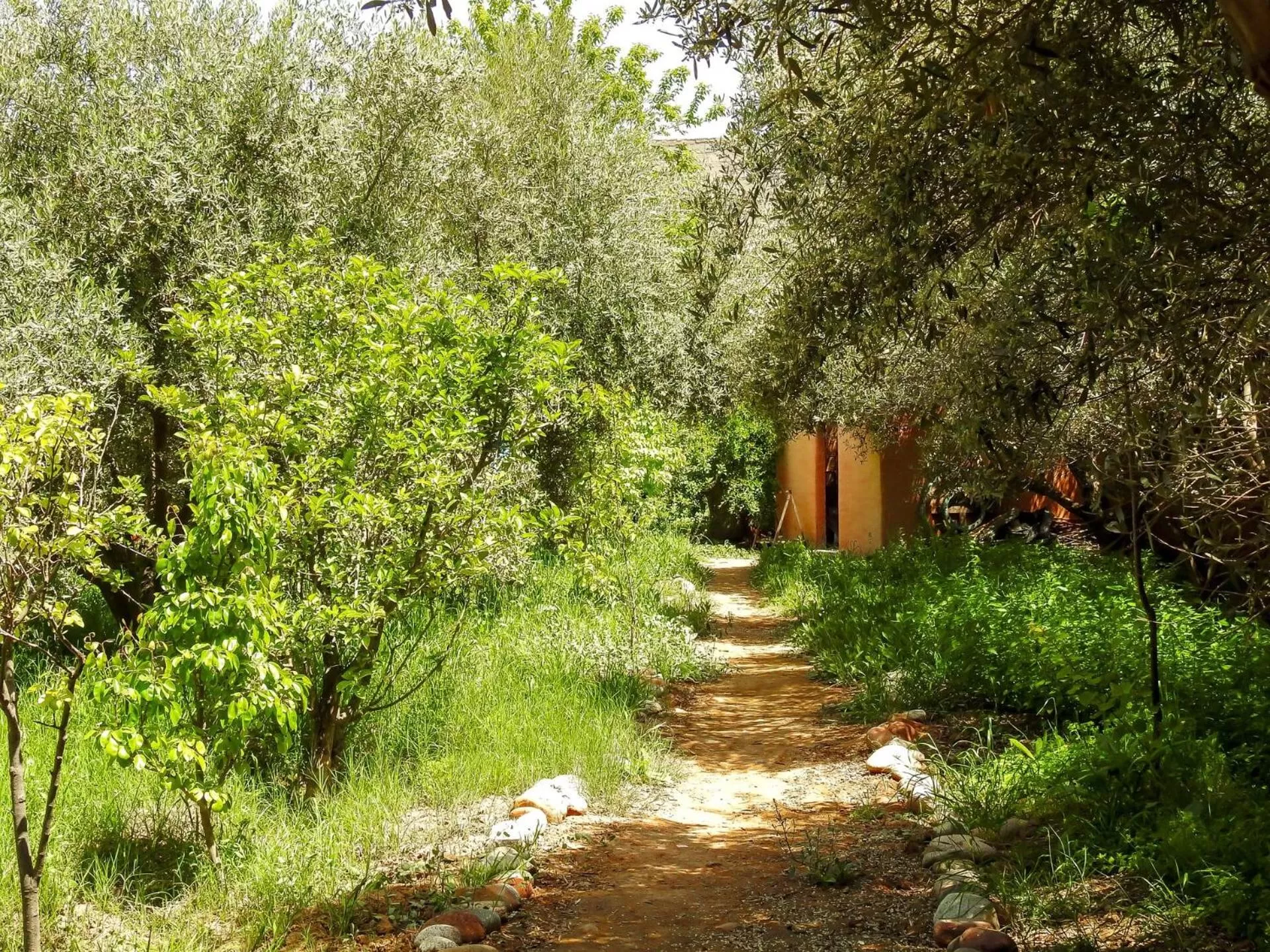 Garden in Le Bleu House