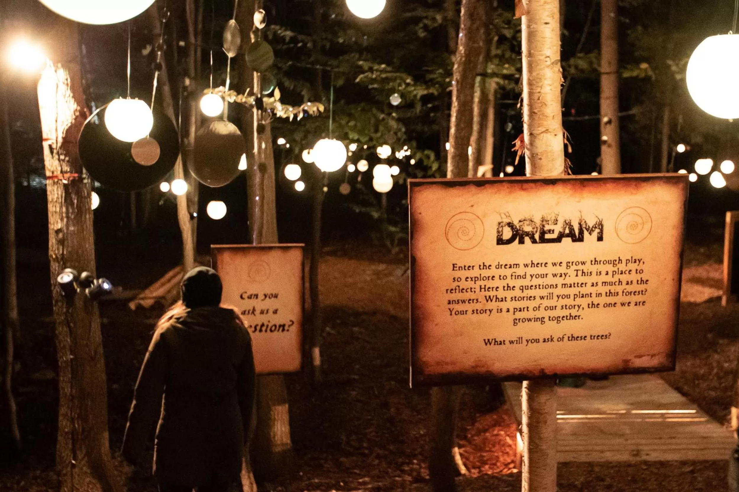 Night in Blue Mountain Resort Home Collection