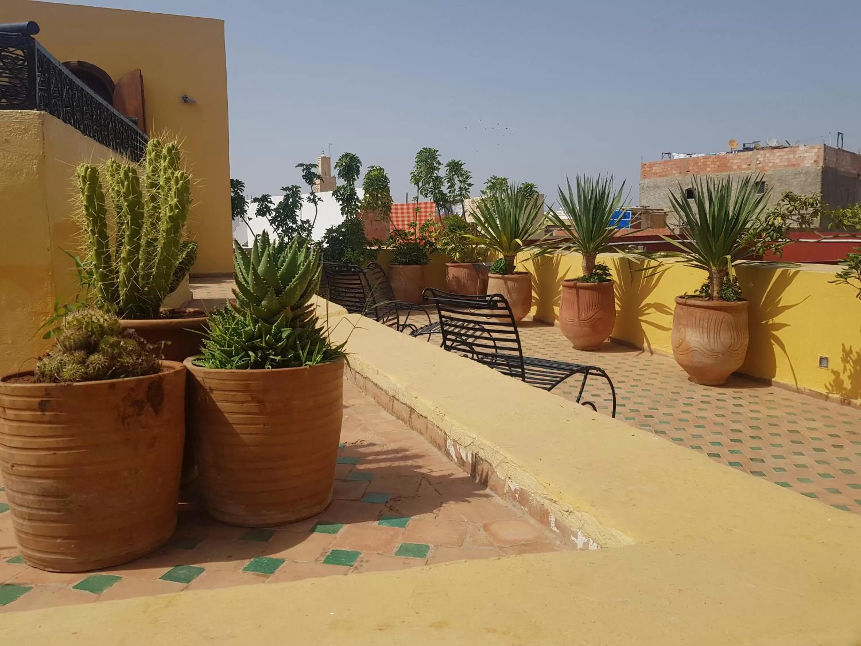 Garden in Riad Inspira