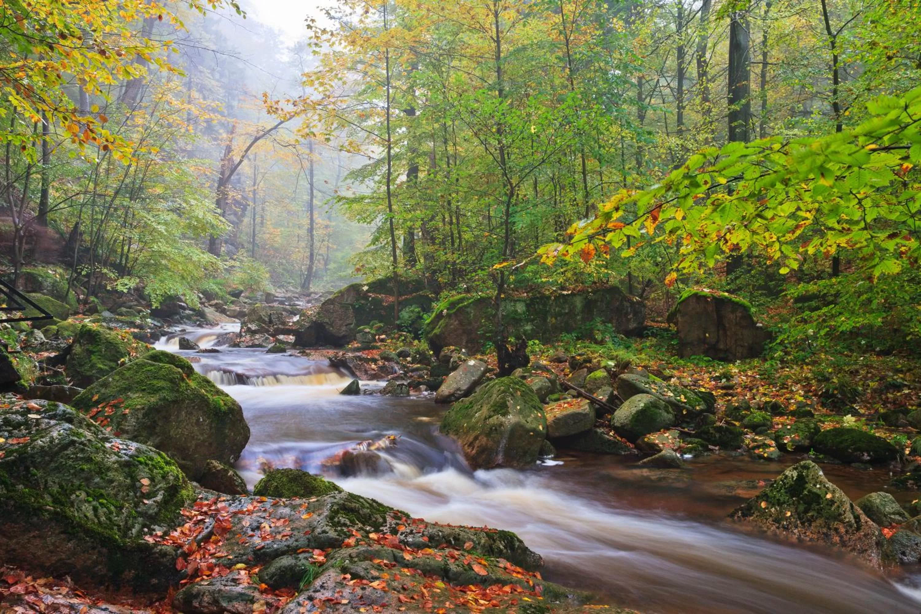 Hiking in Altstadthotel Ilsenburg