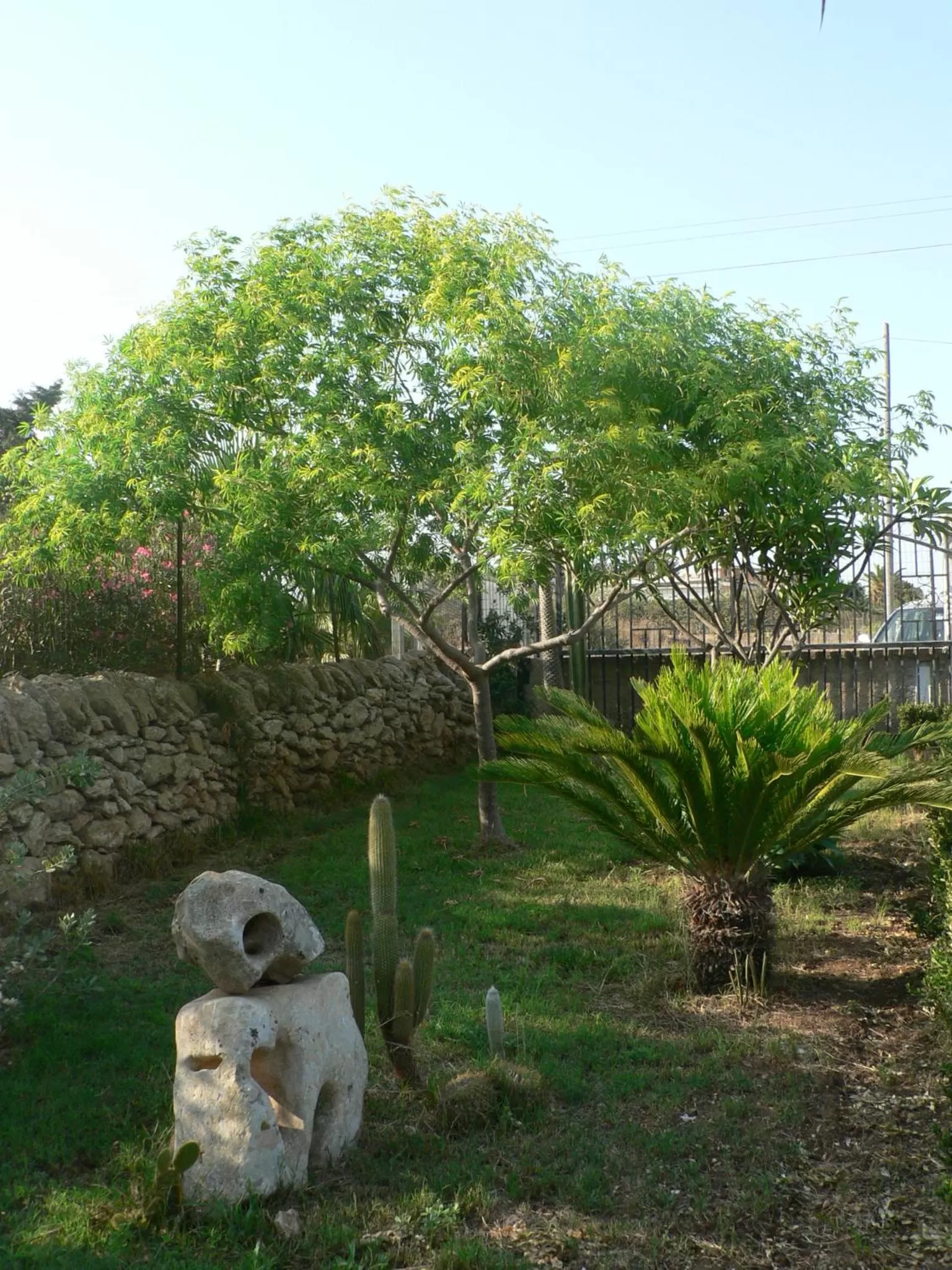 Garden in B&B Villa Francesco