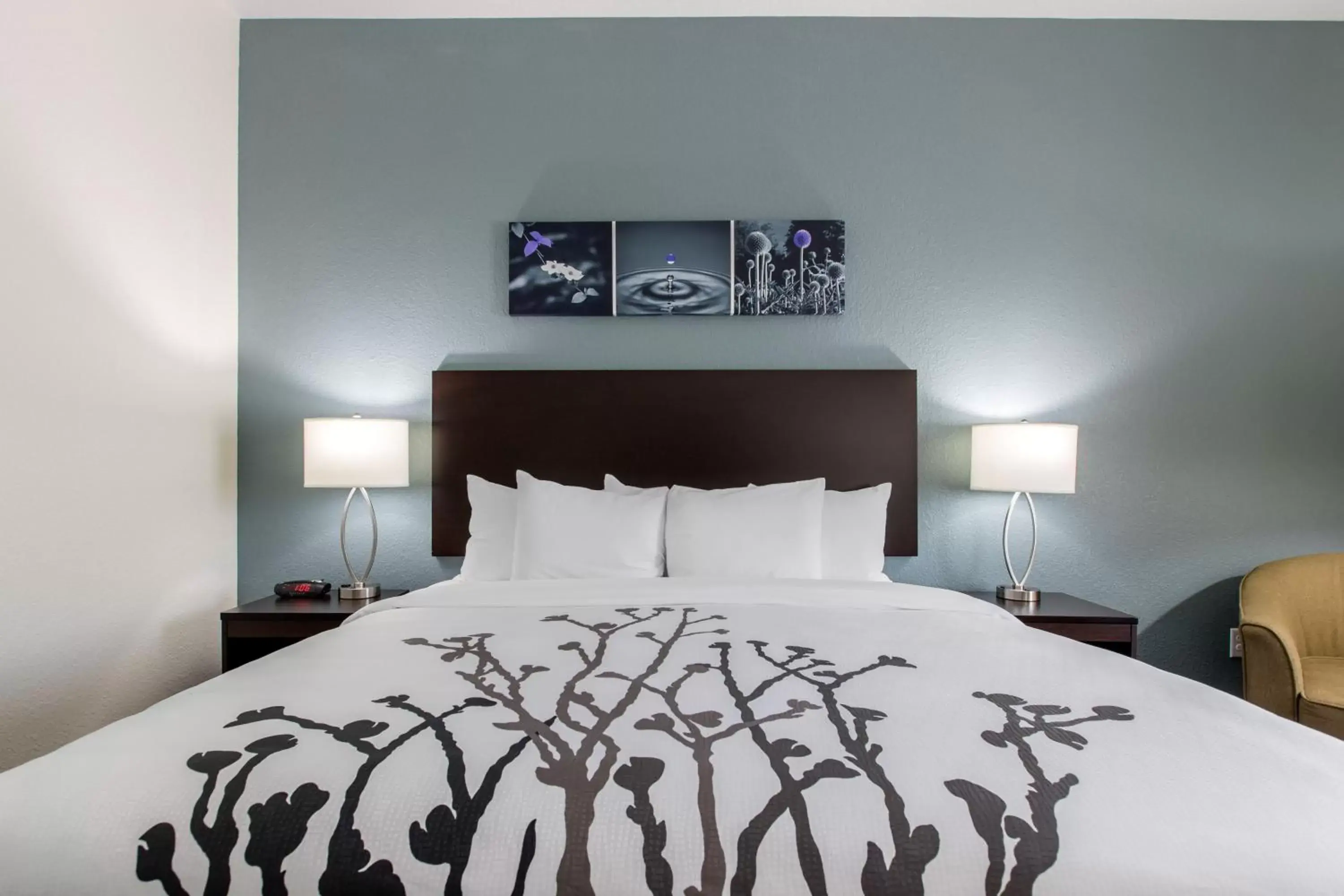 King Room - Accessible/Non-Smoking in Sleep Inn & Suites Ankeny - Des Moines King Room - Accessible/Non-Smoking in Sleep Inn & Suites Ankeny - Des Moines