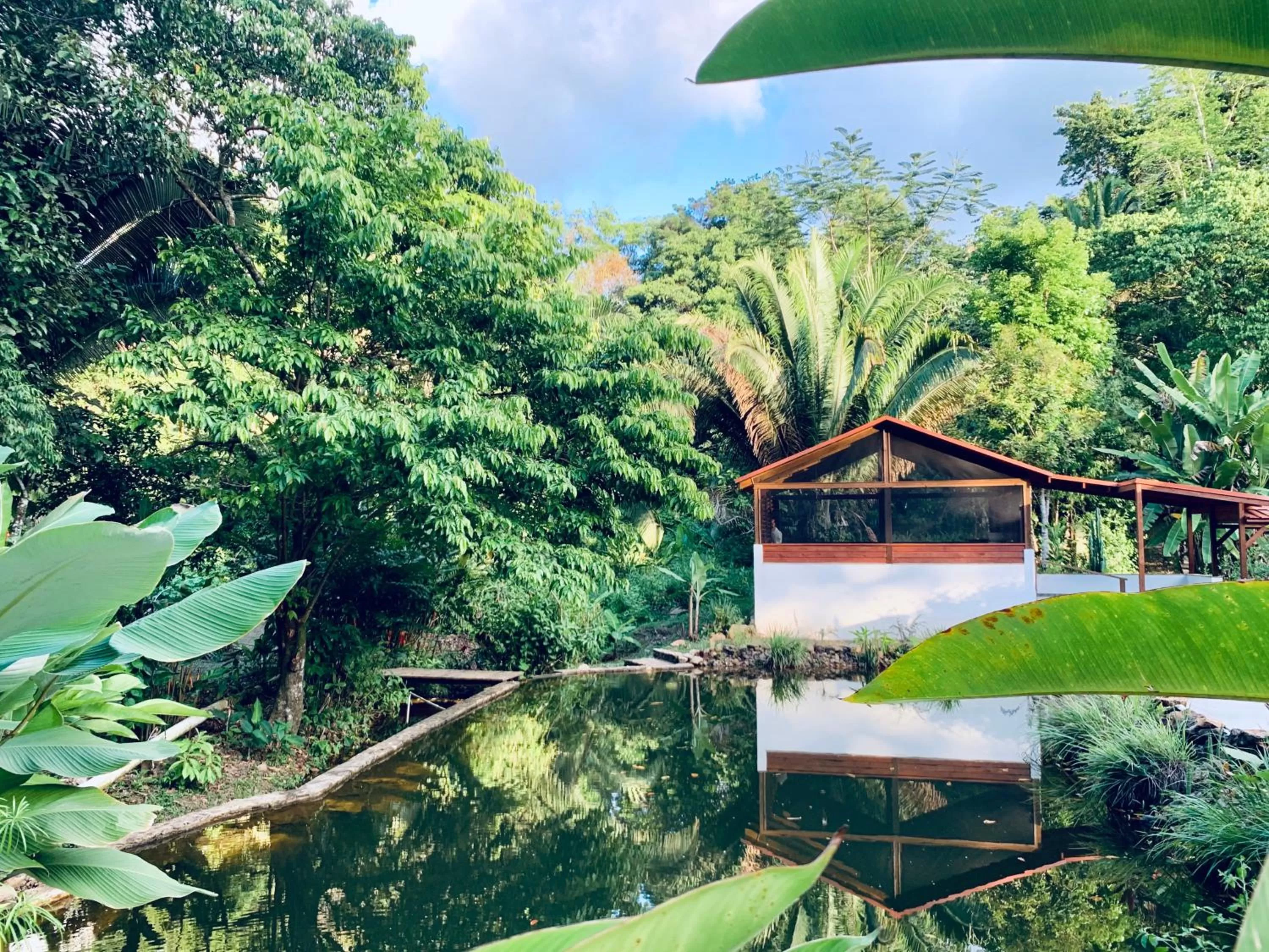 Pool view, Swimming Pool in Sattva Land
