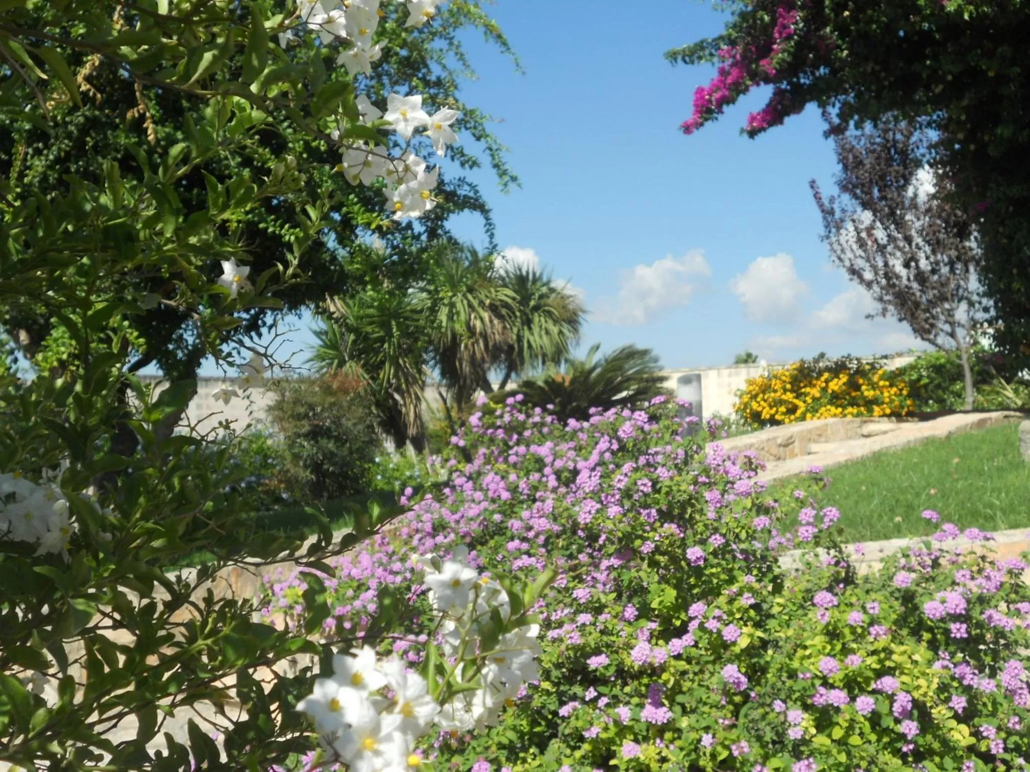 Garden in Le Schiavelle