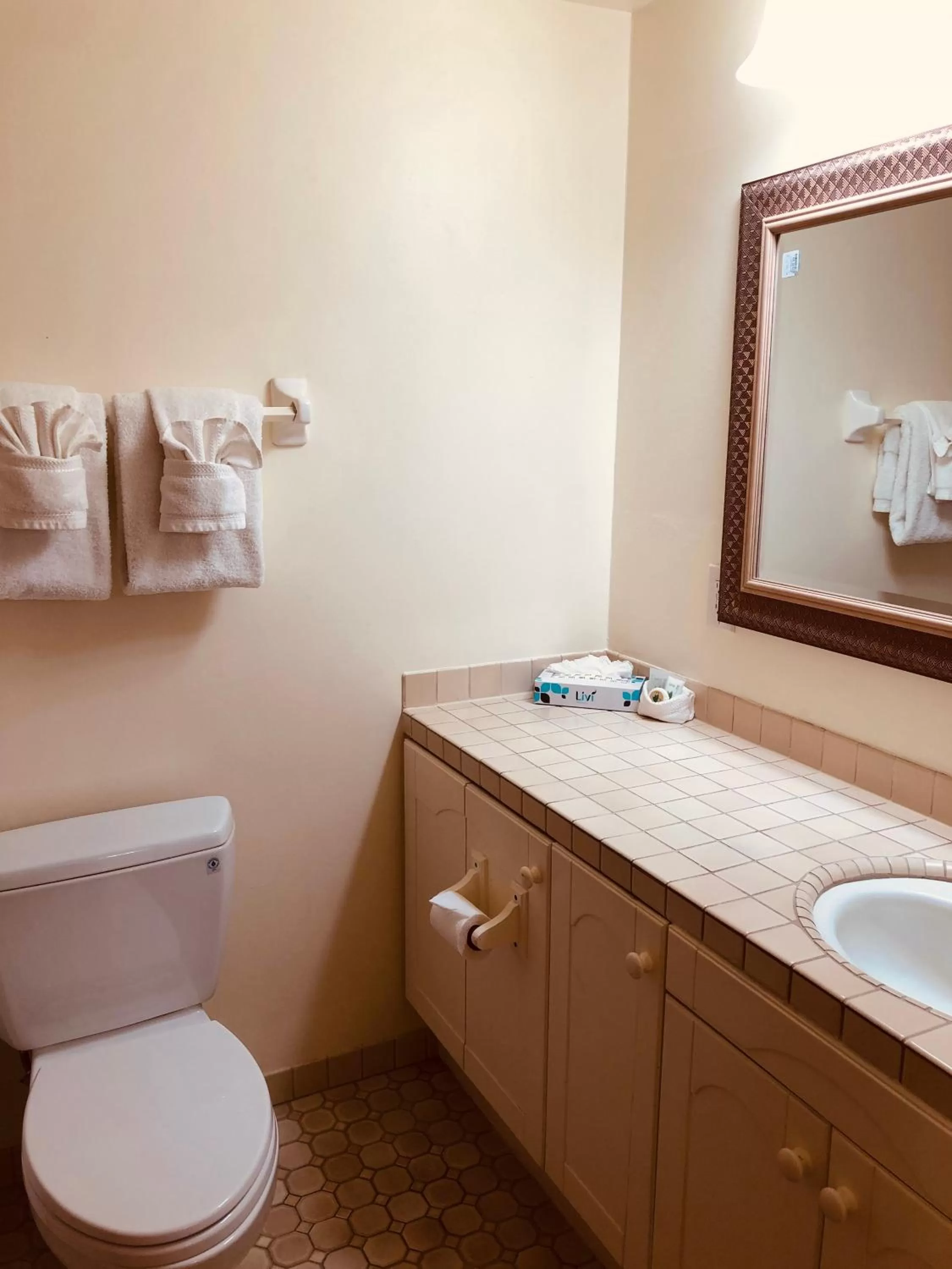 Bathroom in Pacific Grove Inn