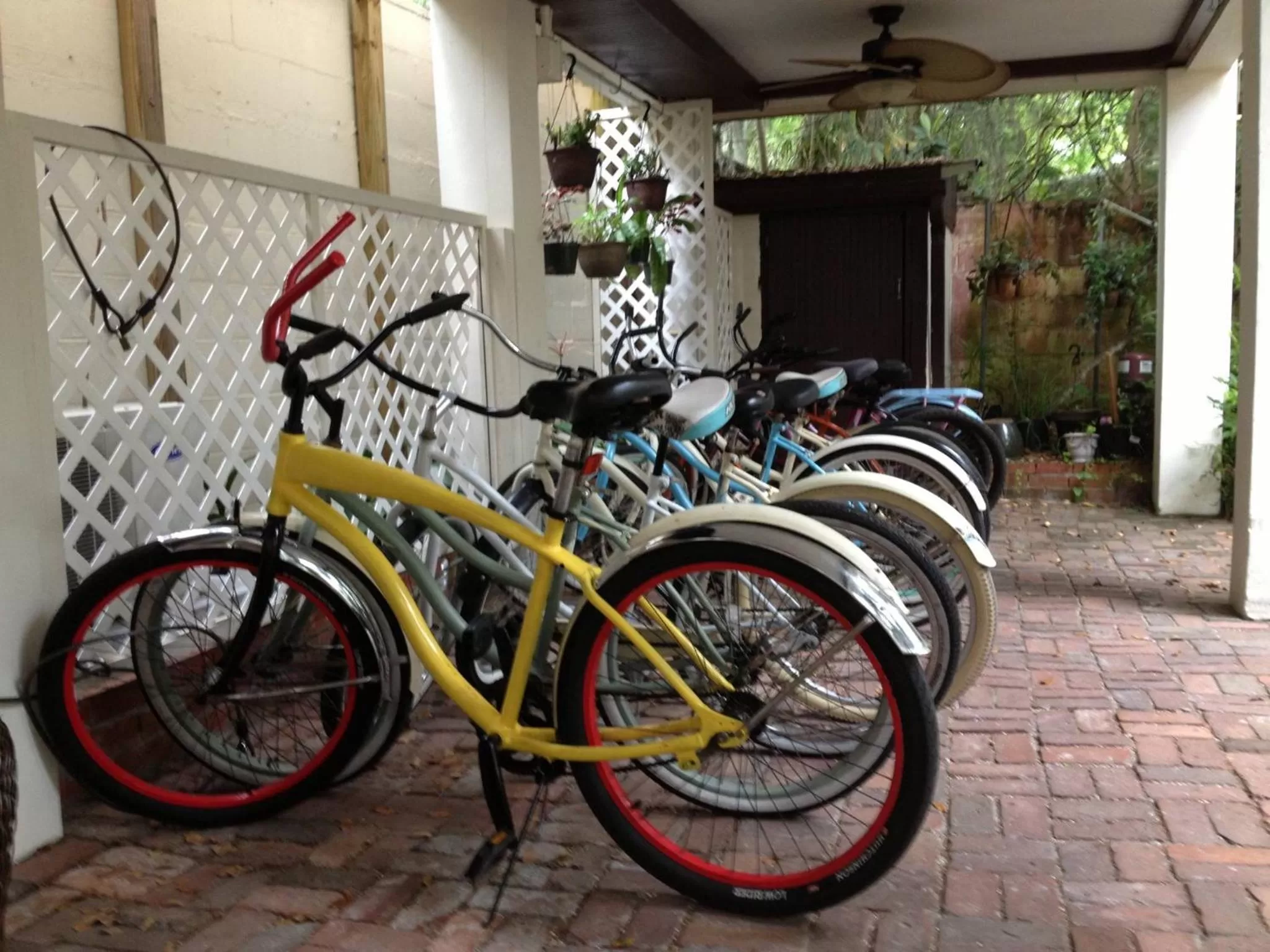 Cycling in St. Francis Inn - Saint Augustine