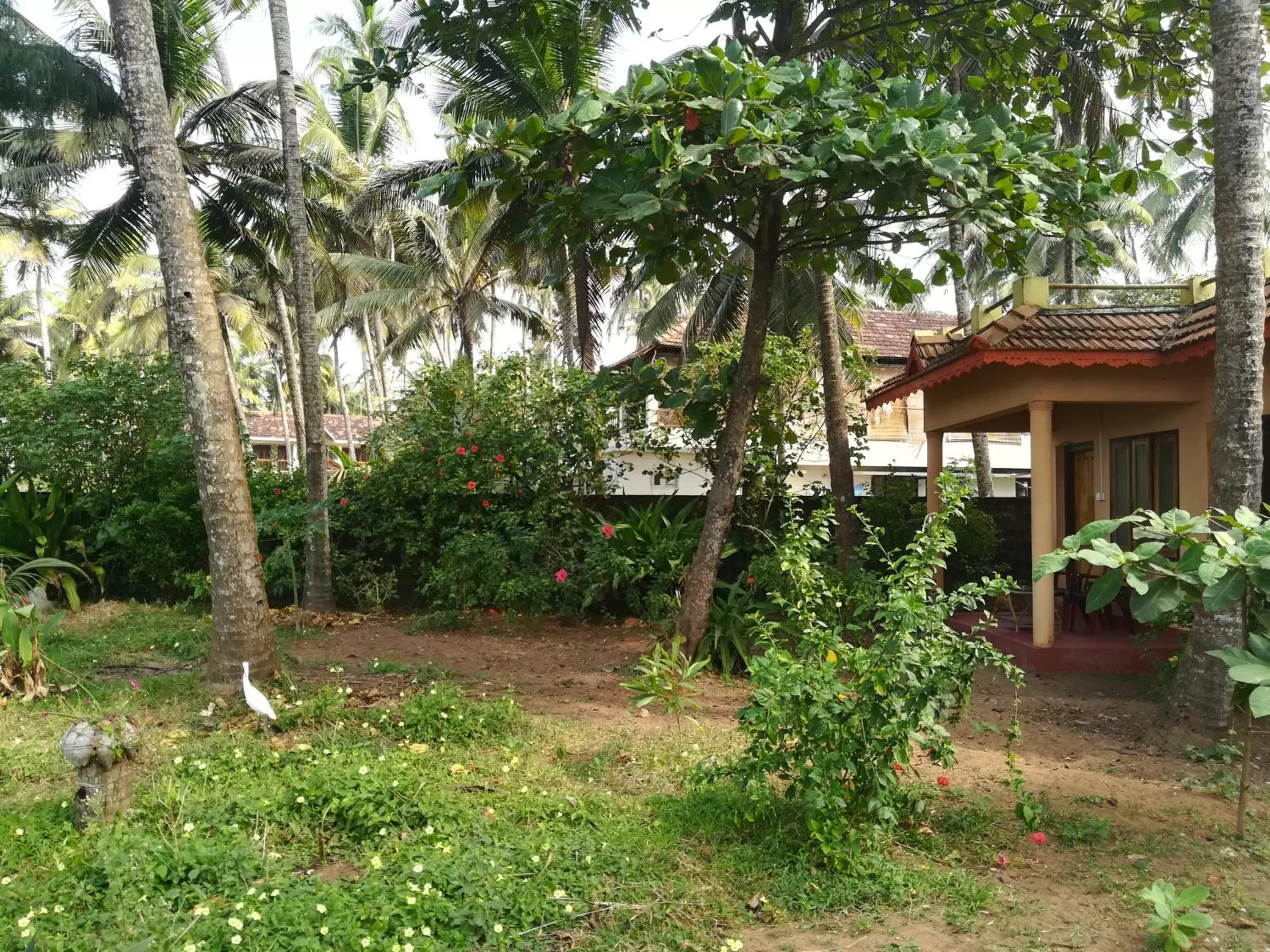 Property building, Garden in Sukriti beach Resort