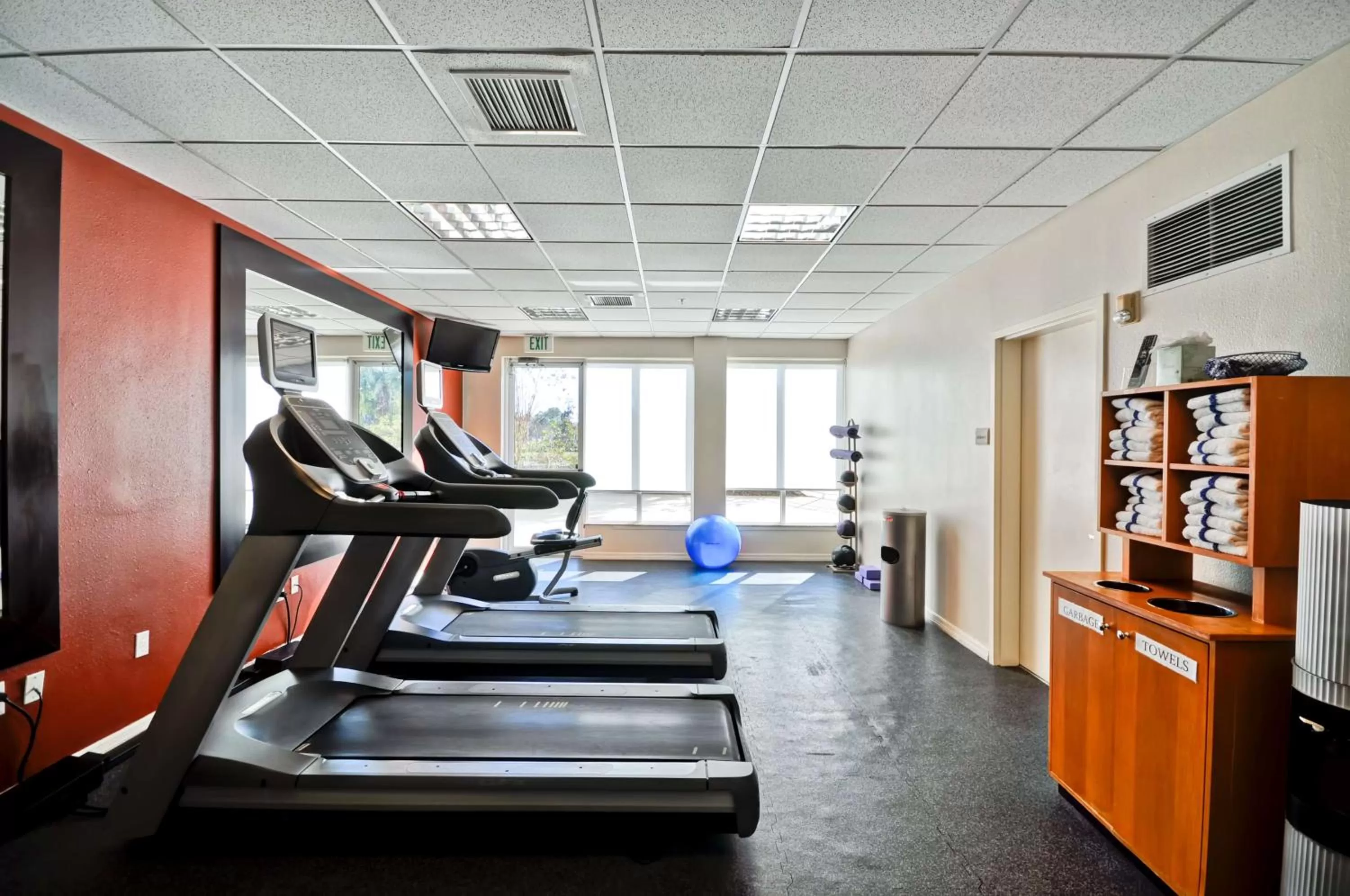 Fitness centre/facilities in Hilton Garden Inn Tampa North