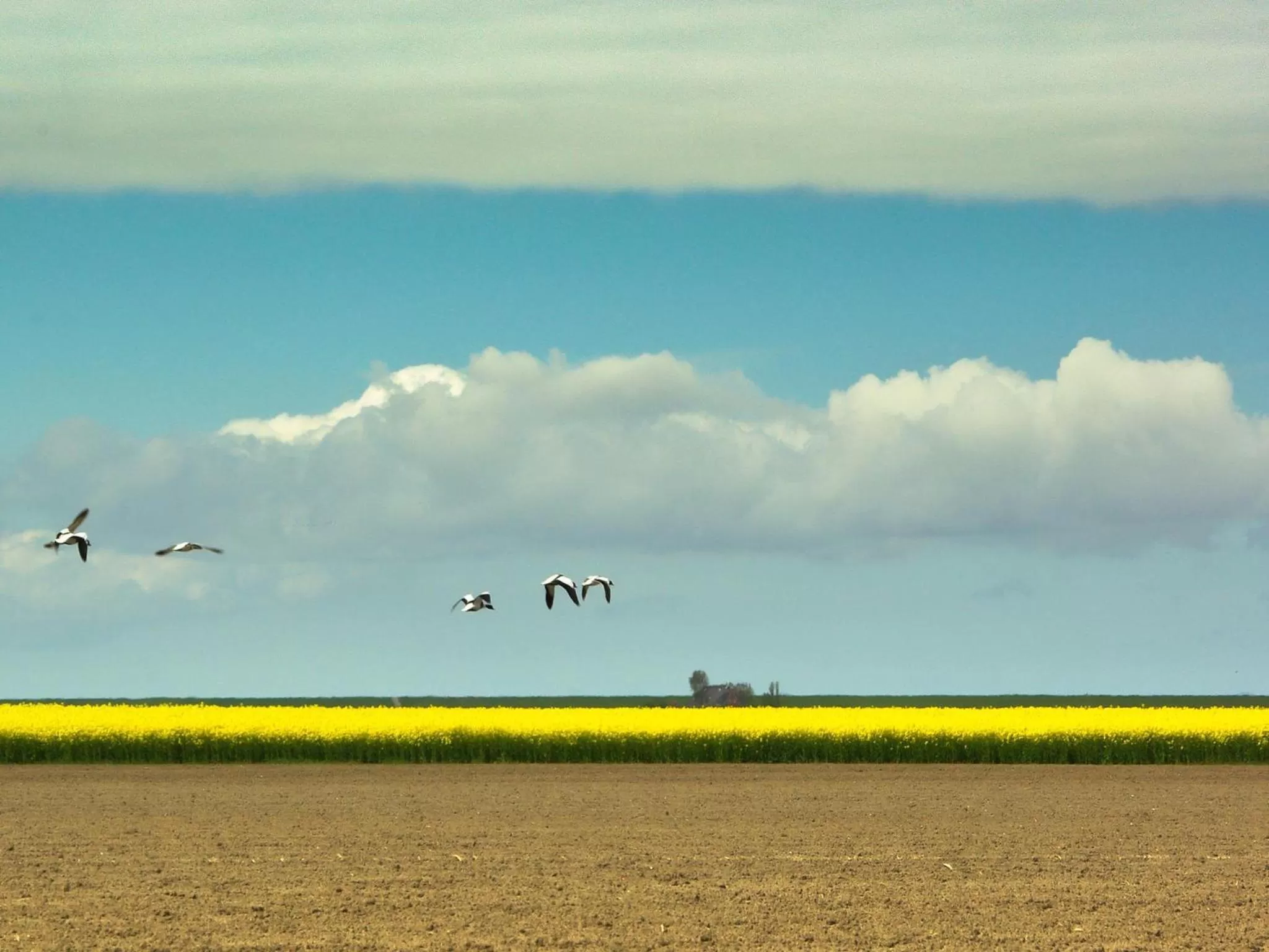 Area and facilities in Bed and Breakfast Batenborg