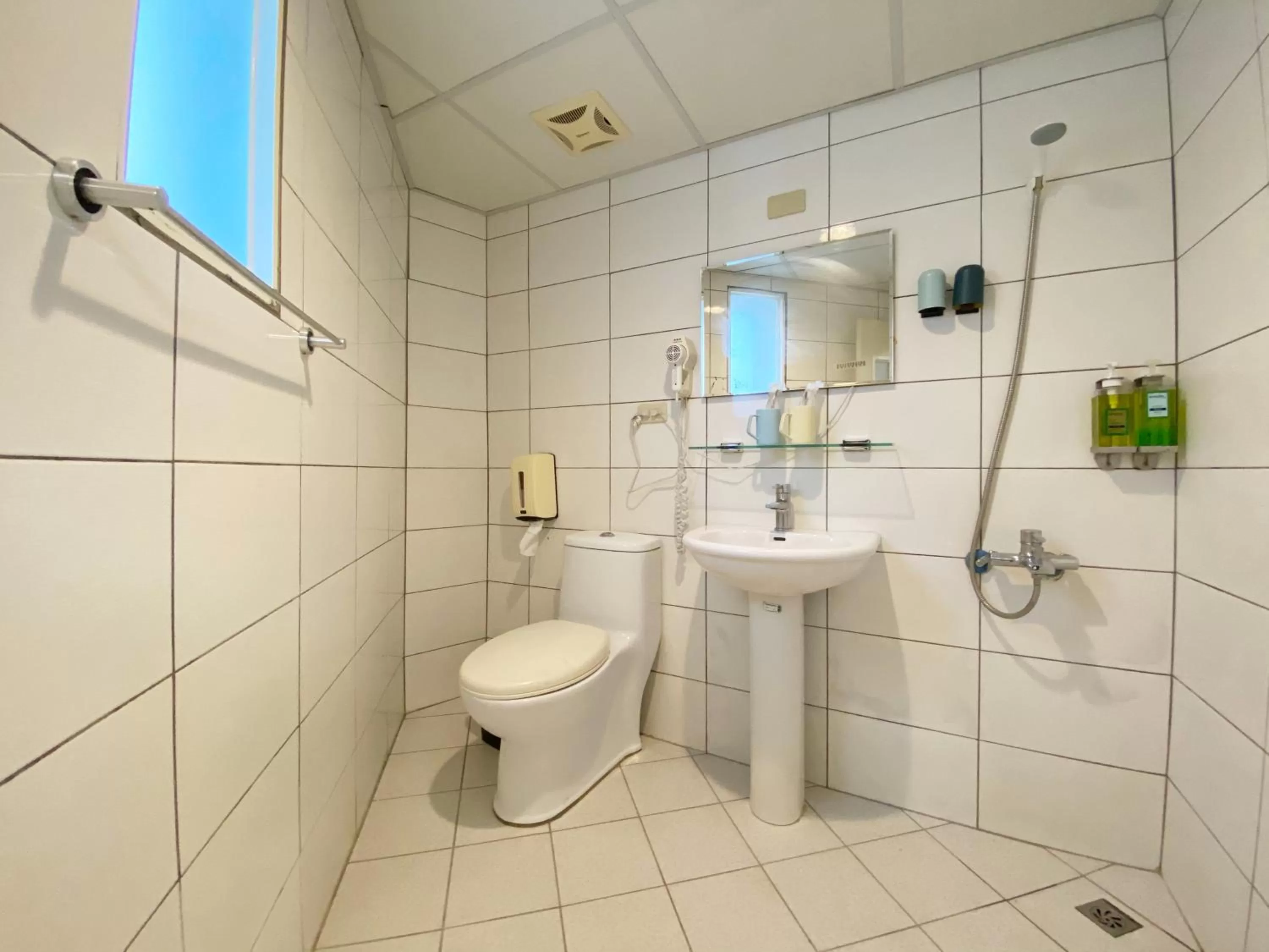 Toilet in Sharon Inn