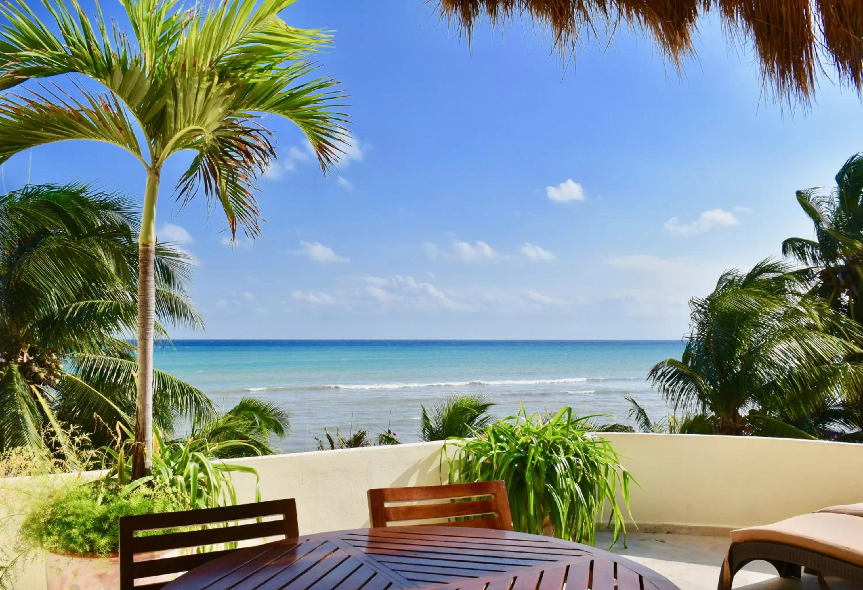 Kitchen or kitchenette in Playa Palms Beach Hotel