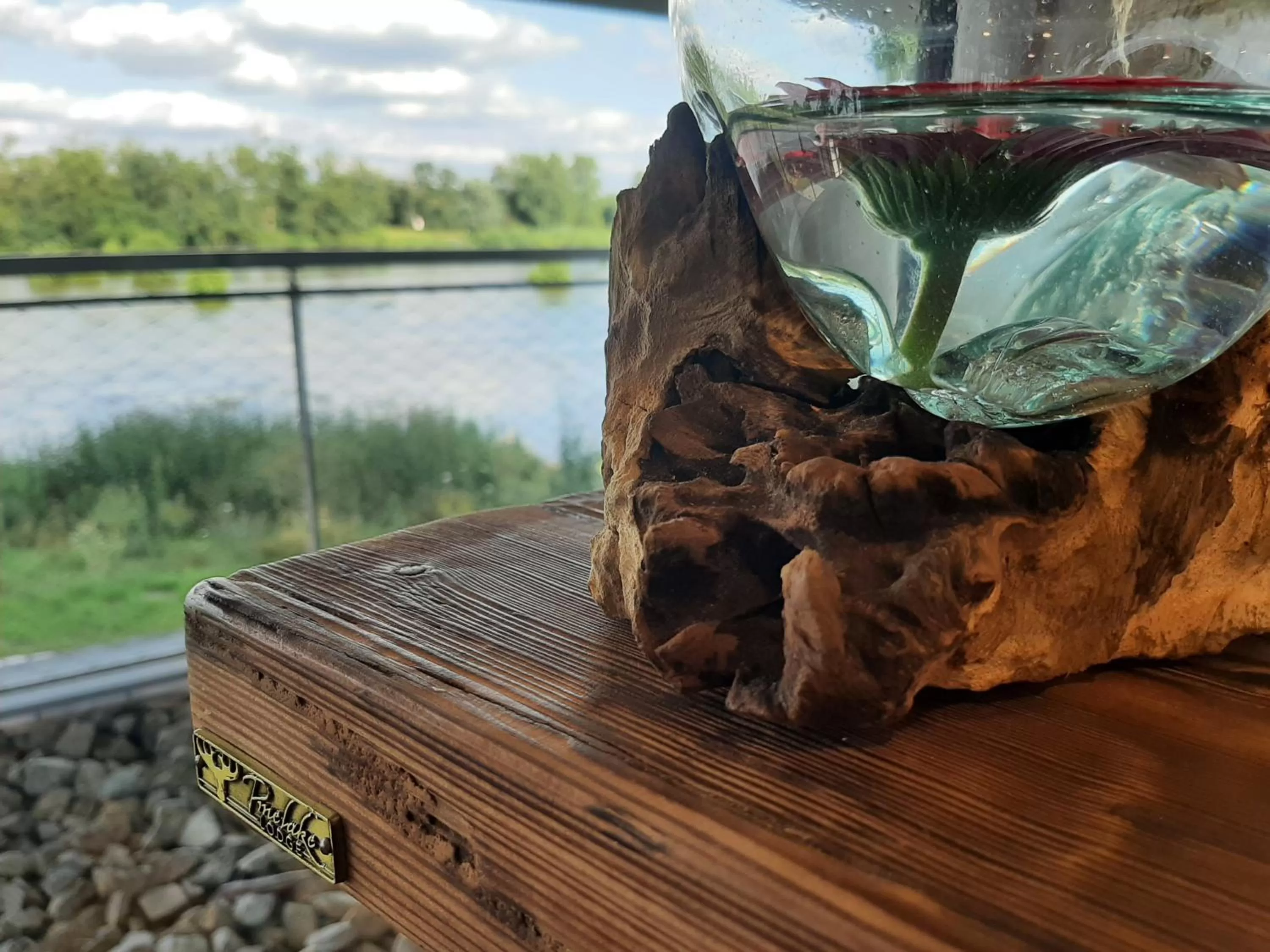 Restaurant/places to eat in Das ELB Boardinghouse Hotel Restaurant