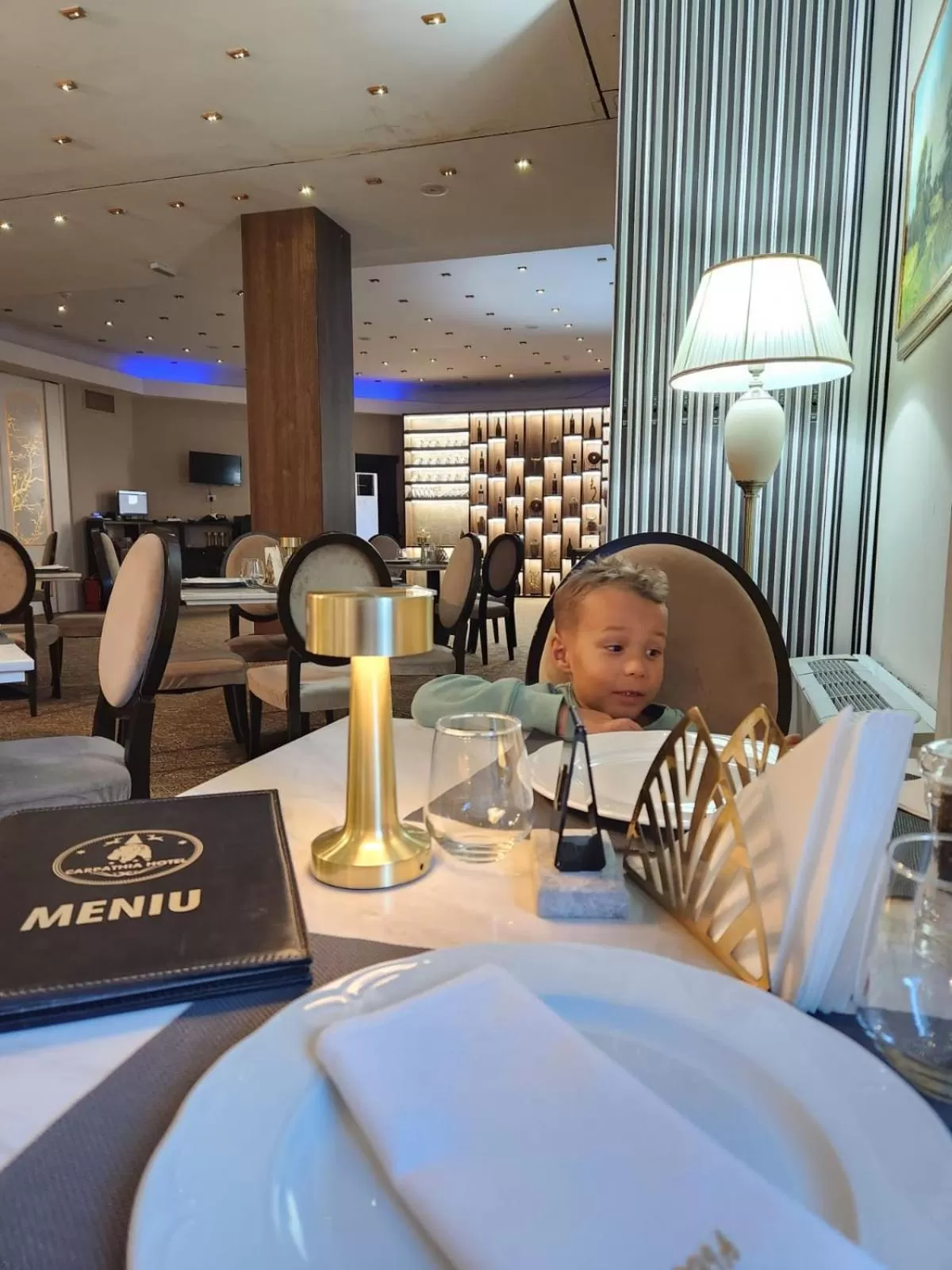 Restaurant/places to eat in Hotel Carpathia