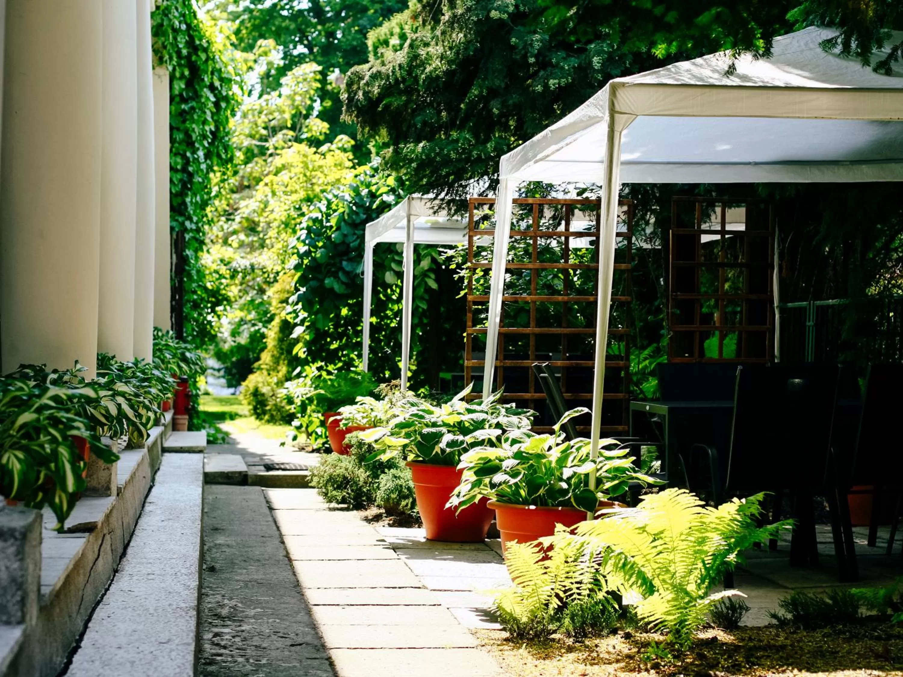 Patio, Garden in Miodosytnia Aparthotel