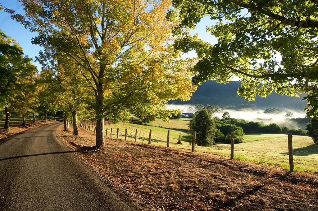 Day in Clarendon Forest Retreat