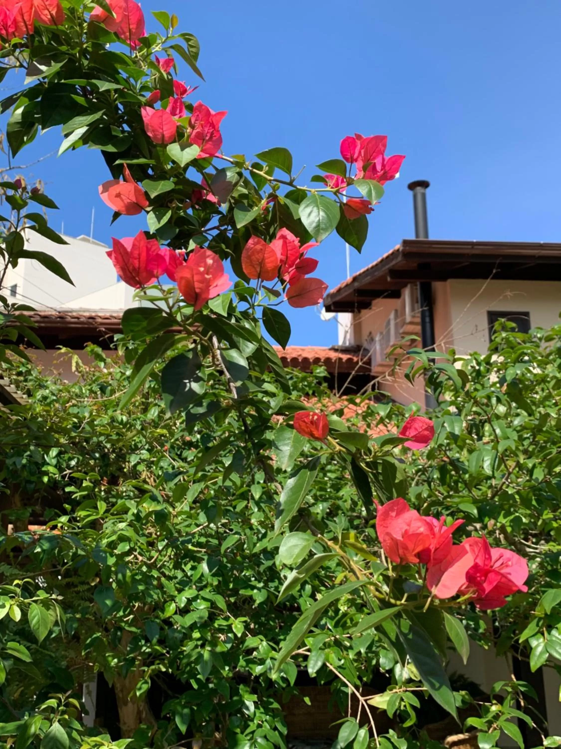 Property Building in Beach House Floripa