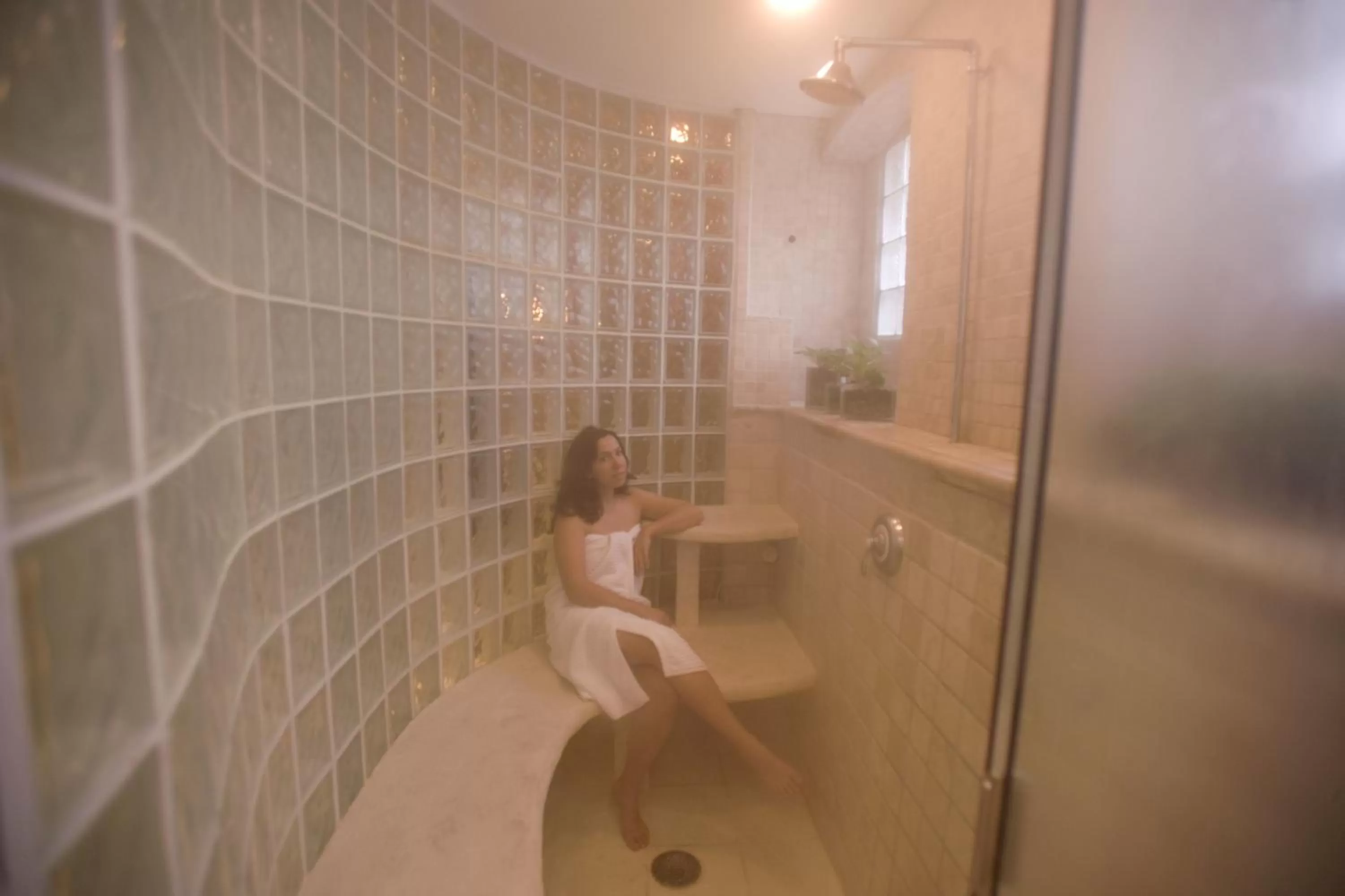 Shower in Ray's Bucktown Bed and Breakfast